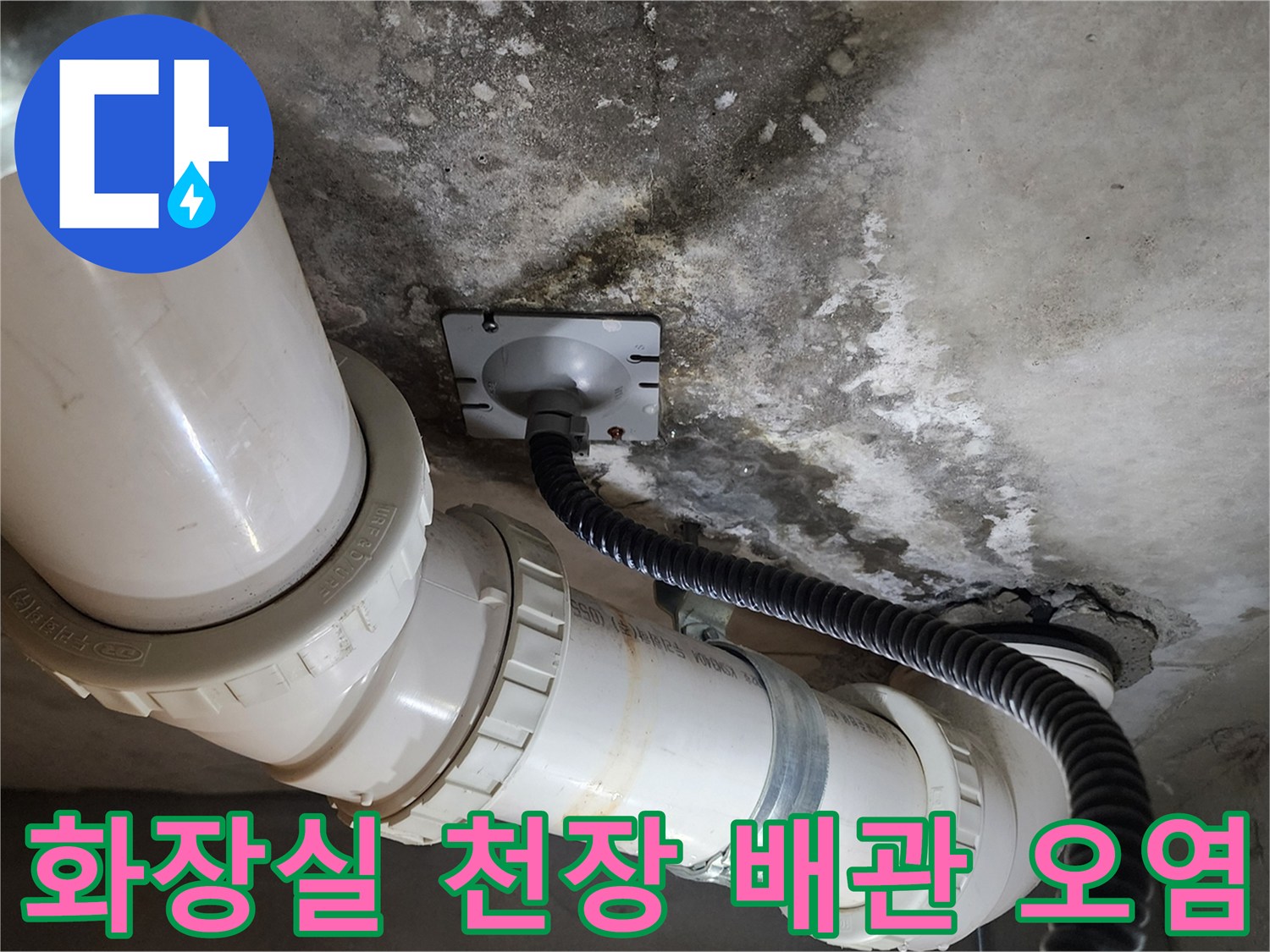 덕양구-화장실-천장-배관-주변의-습기와-오염-상태