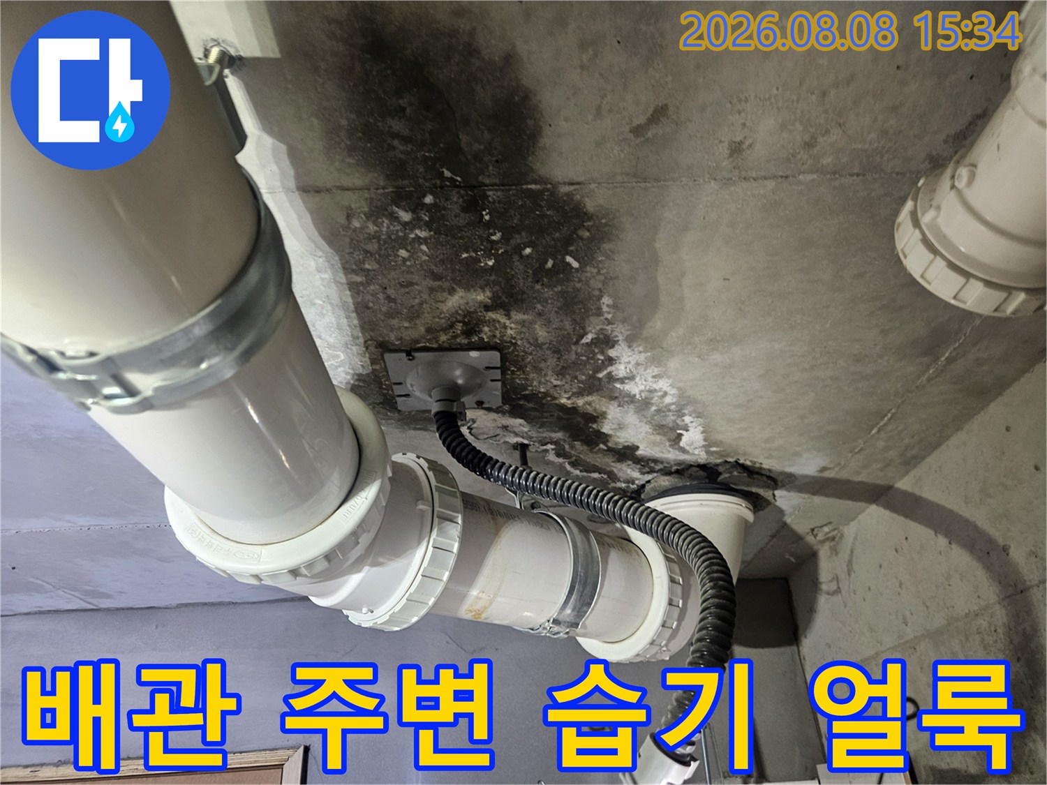 천장 배관 주위로 넓게 퍼진 누수 및 곰팡이 오염 부위