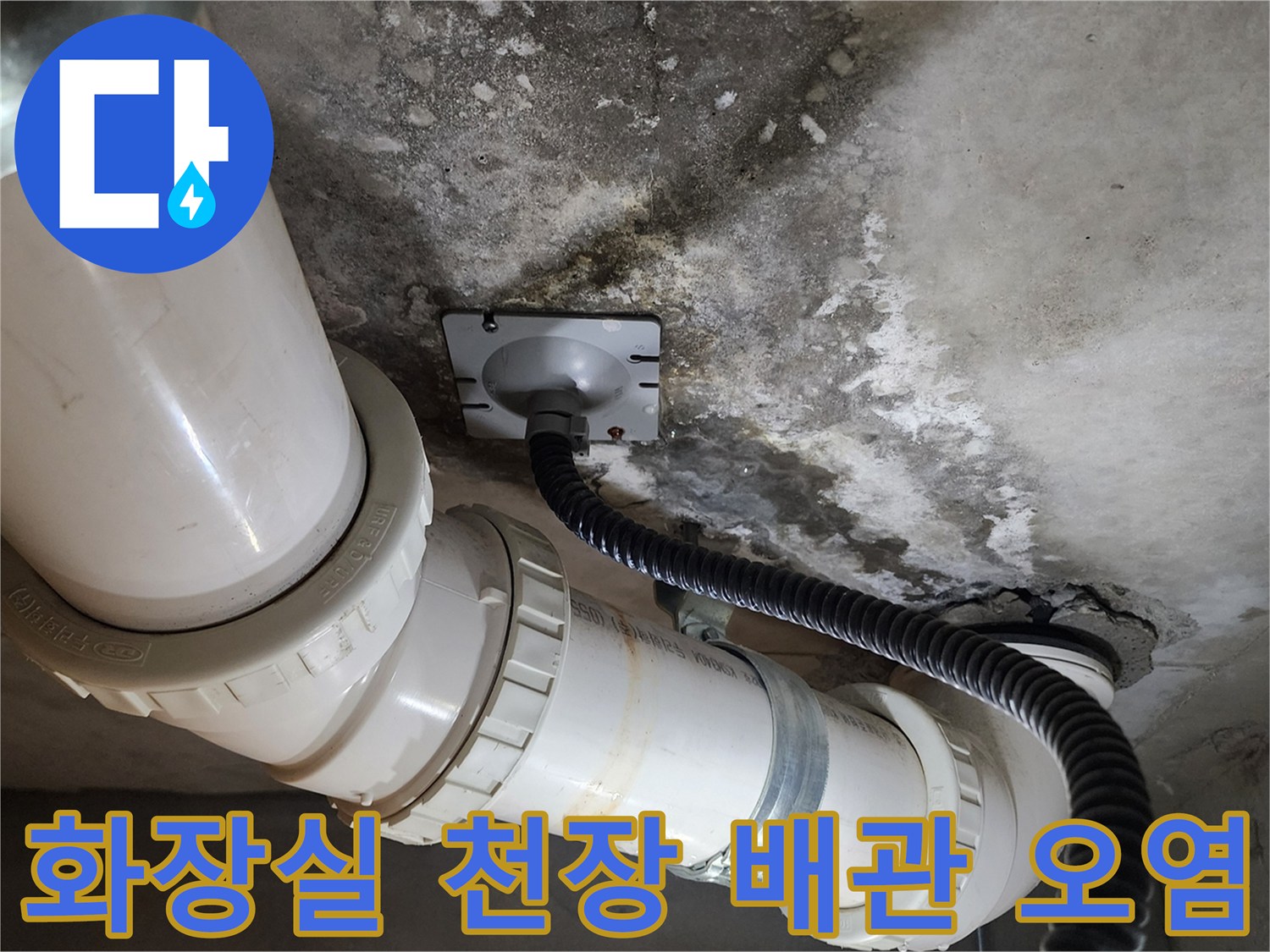 화장실-천장-배관-주변의-습기-및-오염-상태
