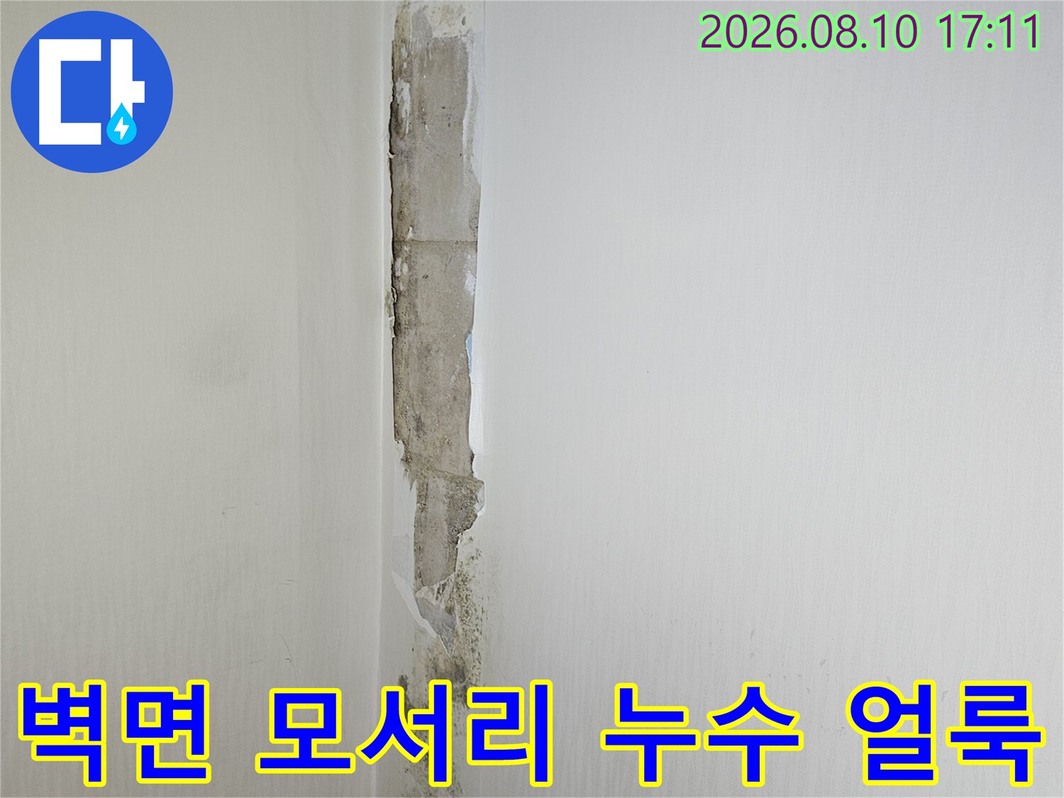 욕실 천장 가장자리 벽면의 젖은 도배지와 검은 곰팡이