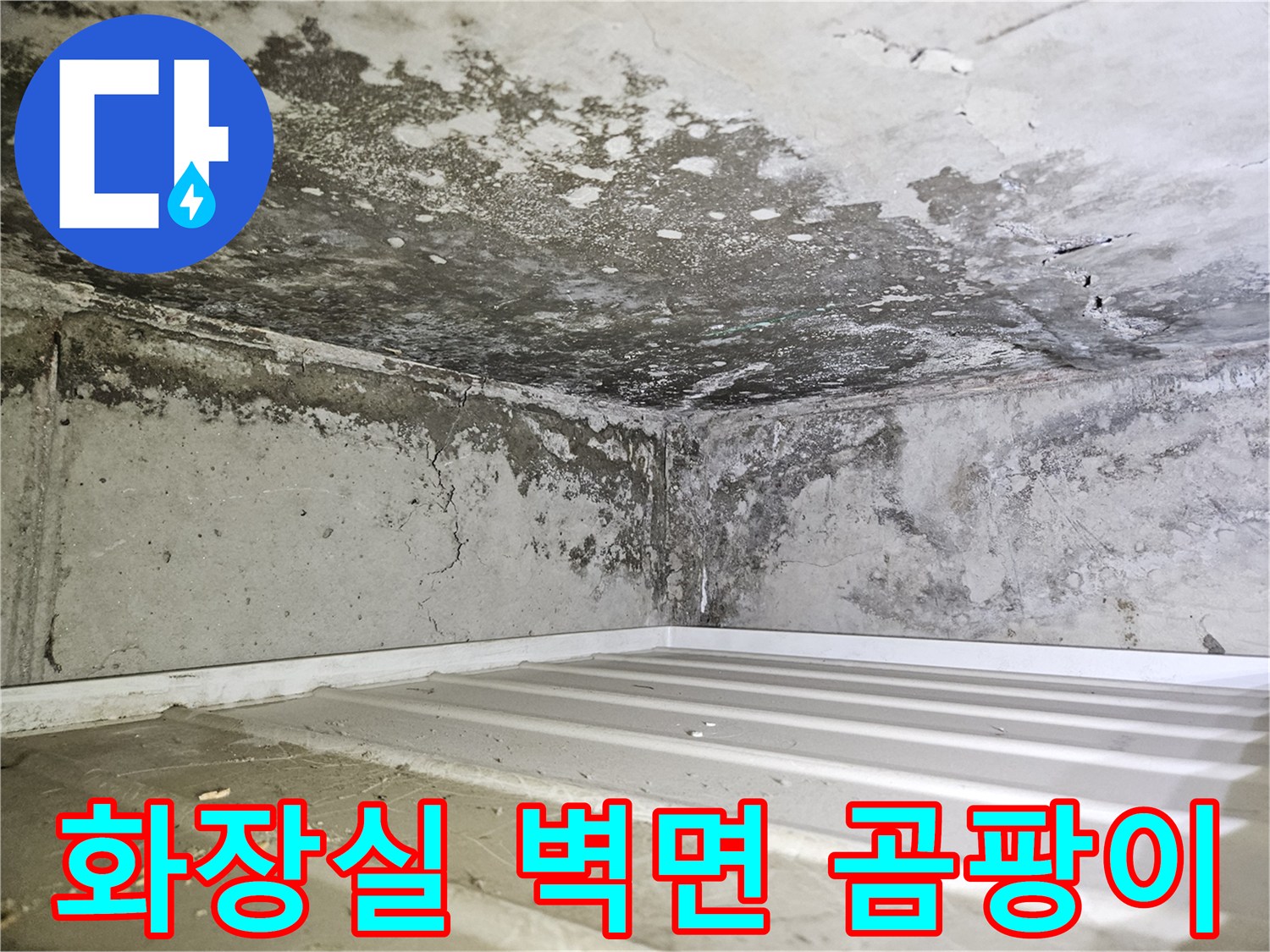 일산동구-화장실-천장-벽면의-습기와-곰팡이-상태