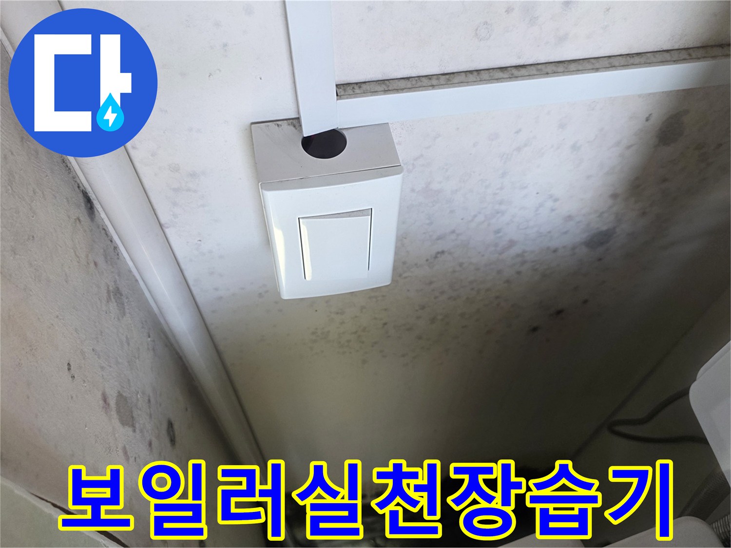 누수로-인해-변색되고-곰팡이가-핀-보일러실-벽면
