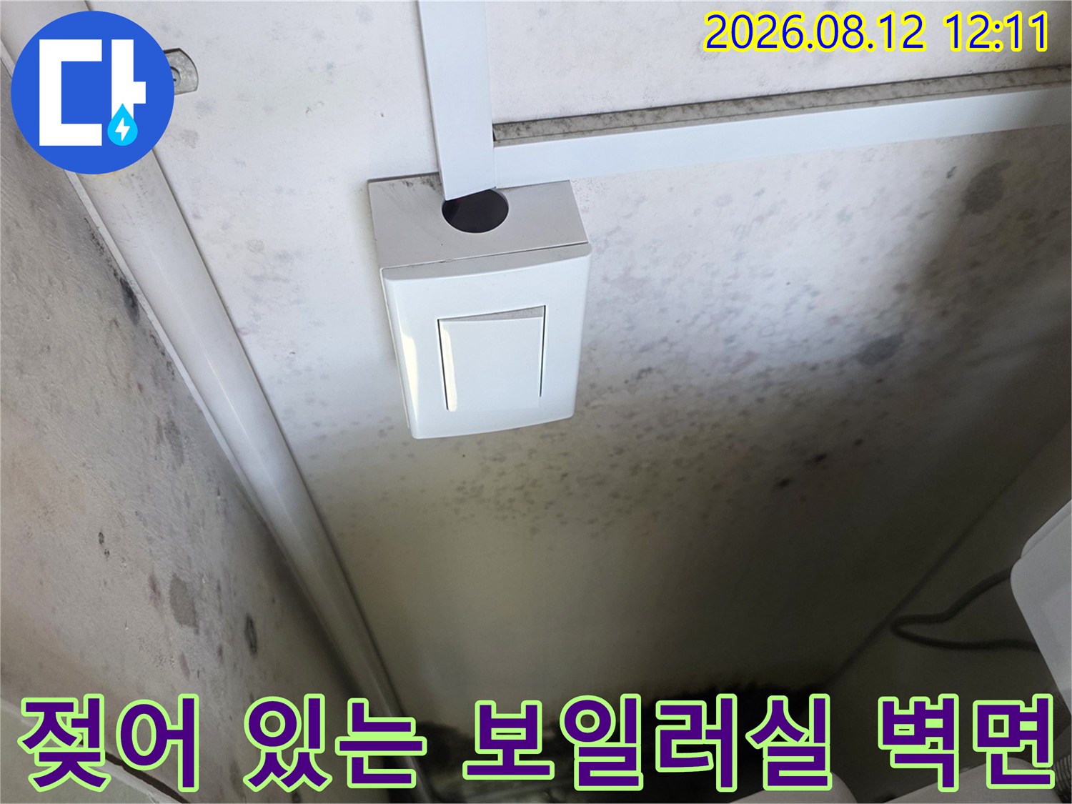 배관 근처의 곰팡이와 습기로 얼룩진 벽면 상태를 상세히 보여줍니다.