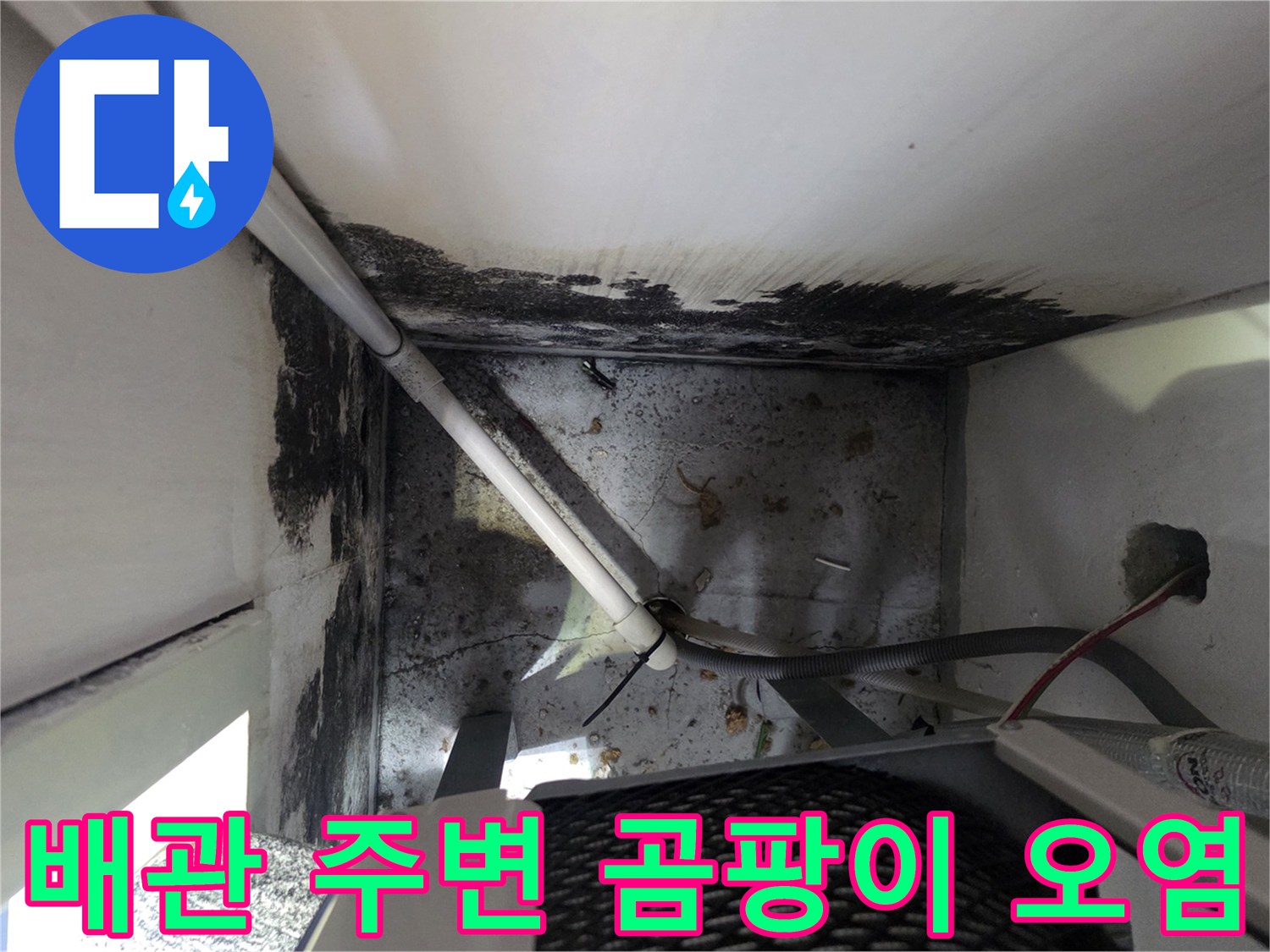 배관 연결 부위 근처의-심한 곰팡이와 습기 침투 흔적