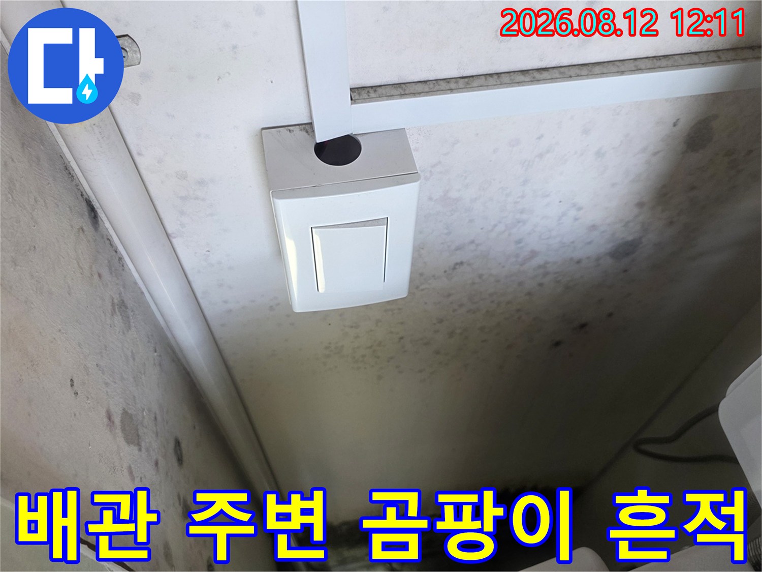 보일러실 배관 연결부 인근 벽면에 발생한 곰팡이와 얼룩