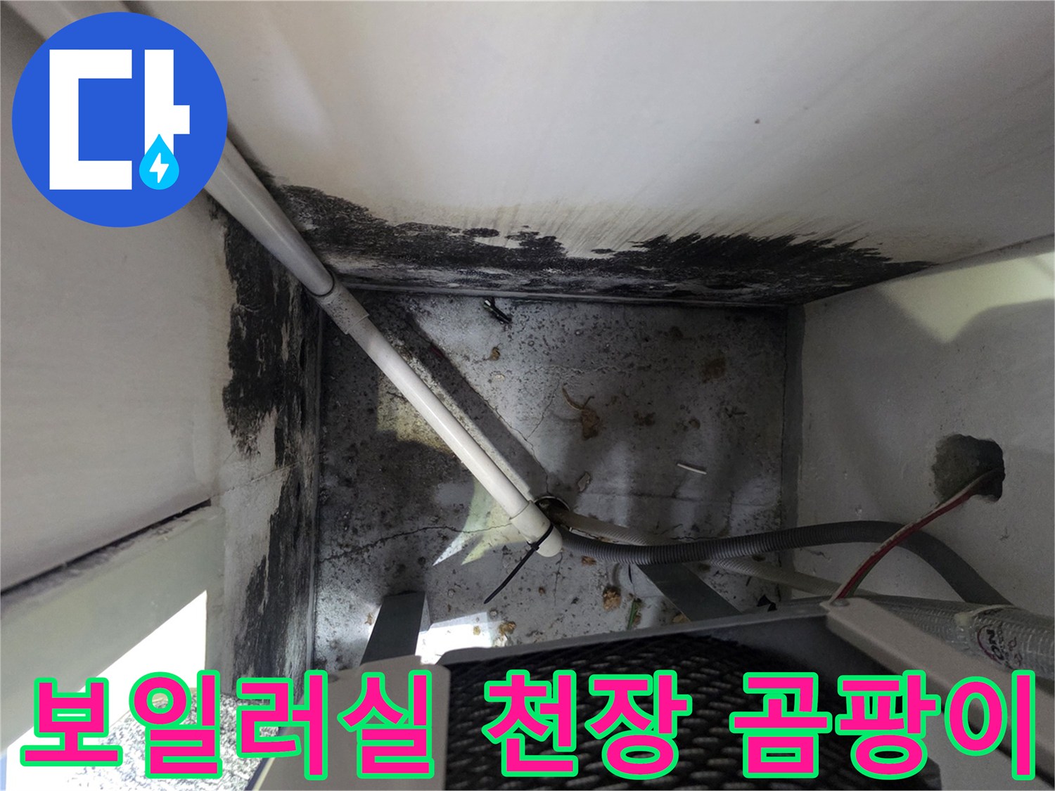 인천 운서동 보일러실-천장 부근의 검은 곰팡이와 습기 흔적