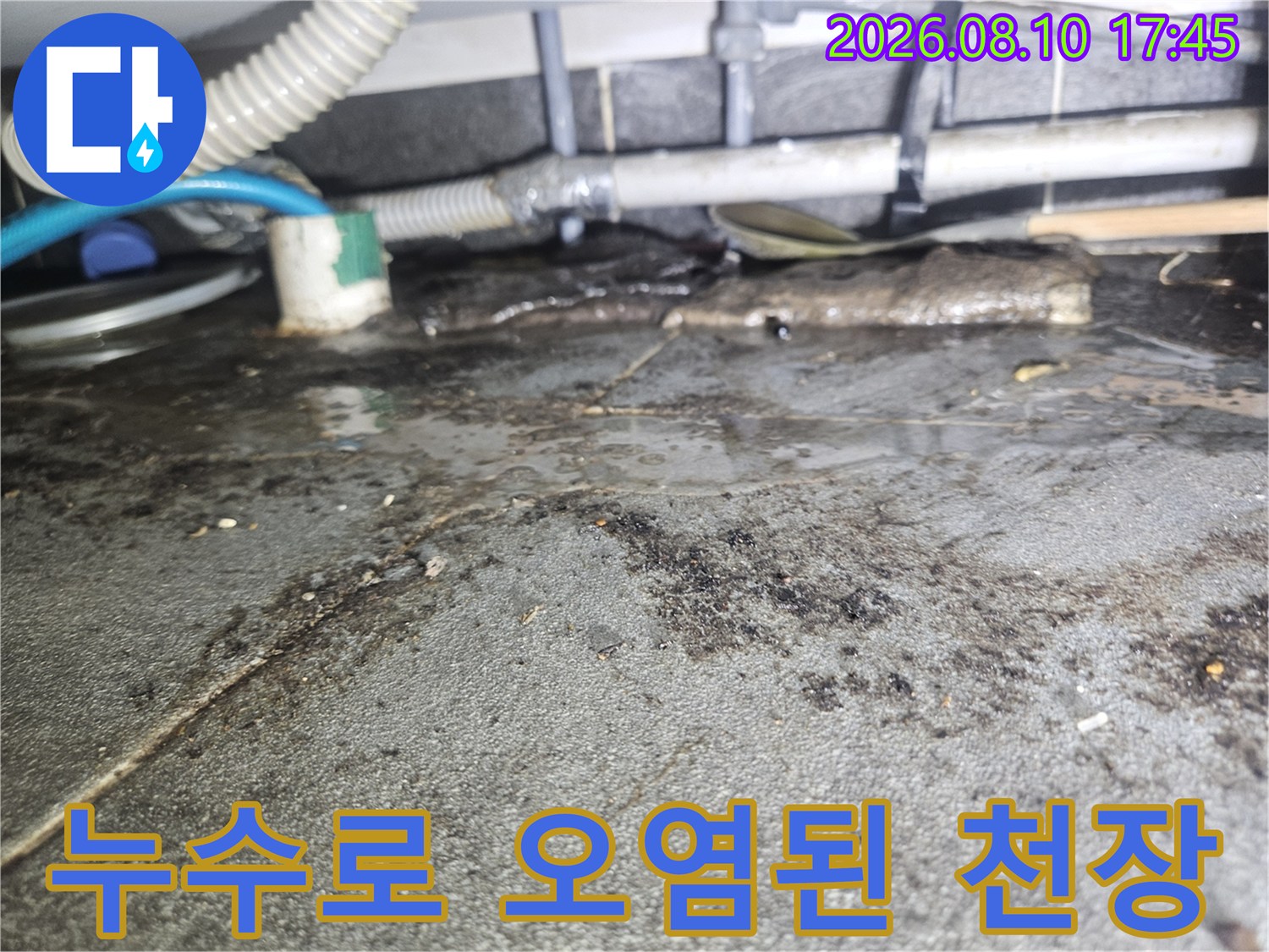 주안동 상가 천장-배관 주변의 심한 누수 흔적과 곰팡이