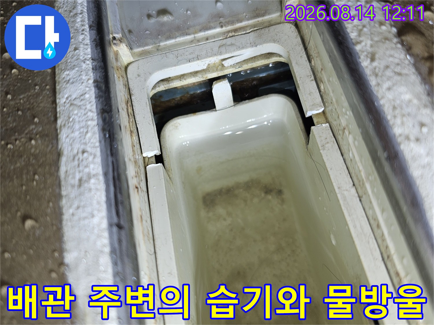 싱크대 아래쪽 배관 주위에 맺혀 있는 물방울과 습기 상태를 보여줍니다.