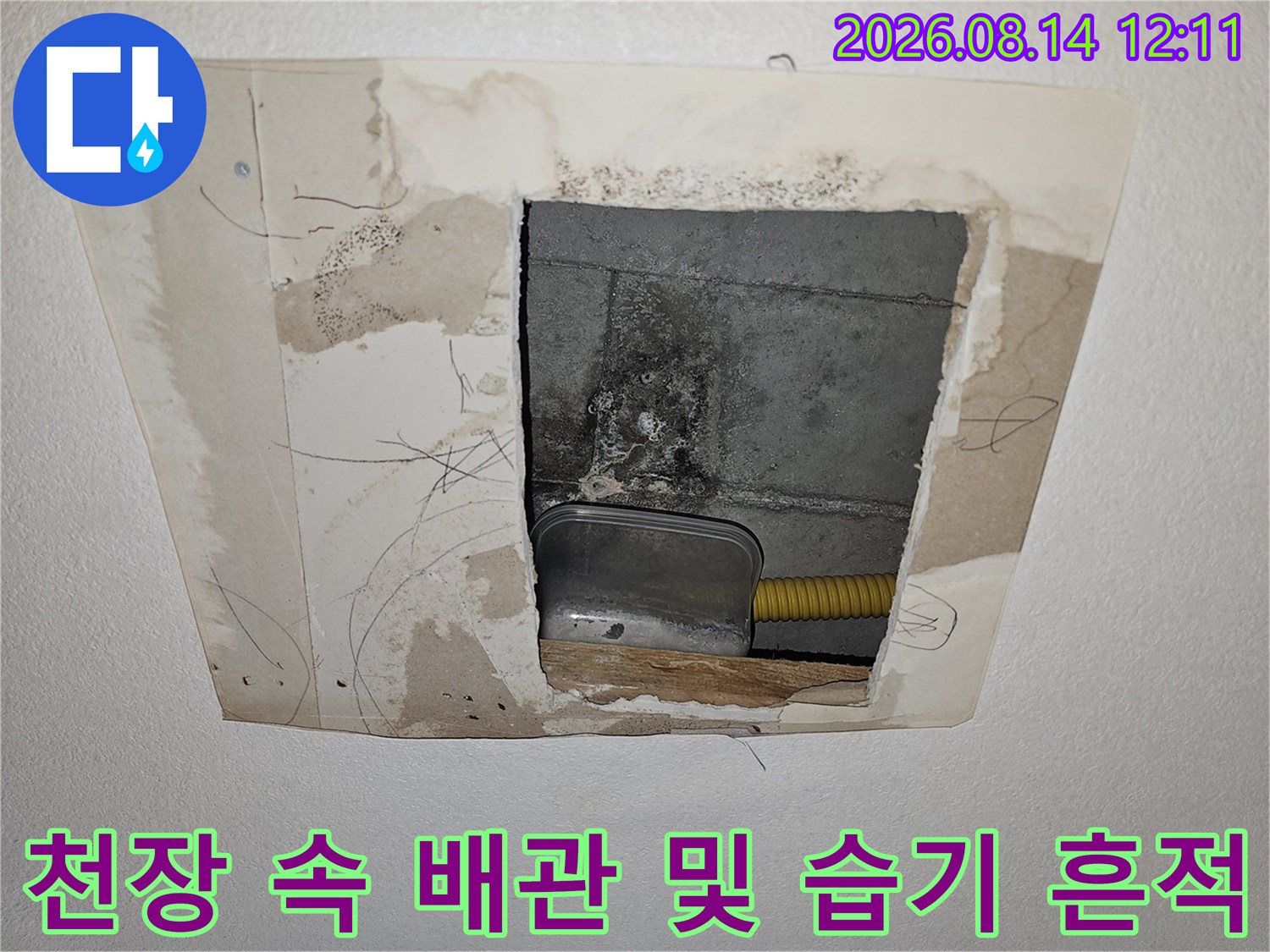 천장 타공 부위로 보이는 배관의 노란색 주름관과 주변 습윤 상태