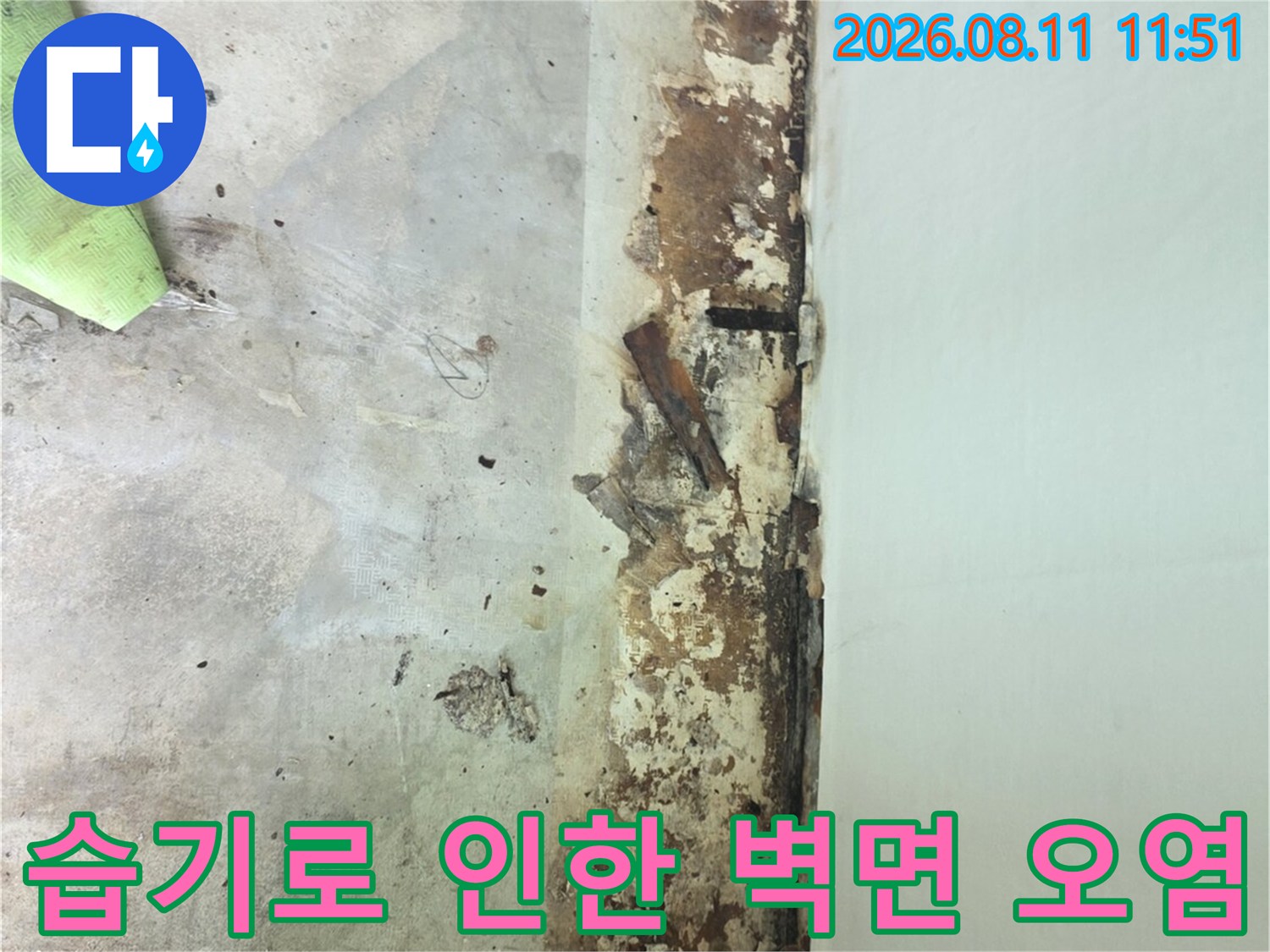 분당 정자동 아파트 베란다 하단부의 습기 침투 및 곰팡이 발생