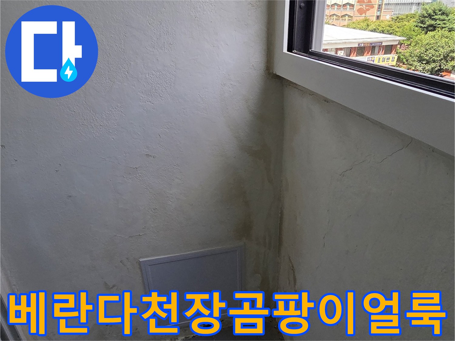 습기로-인해-곰팡이가-피어오른-베란다-벽면과-천장-모서리