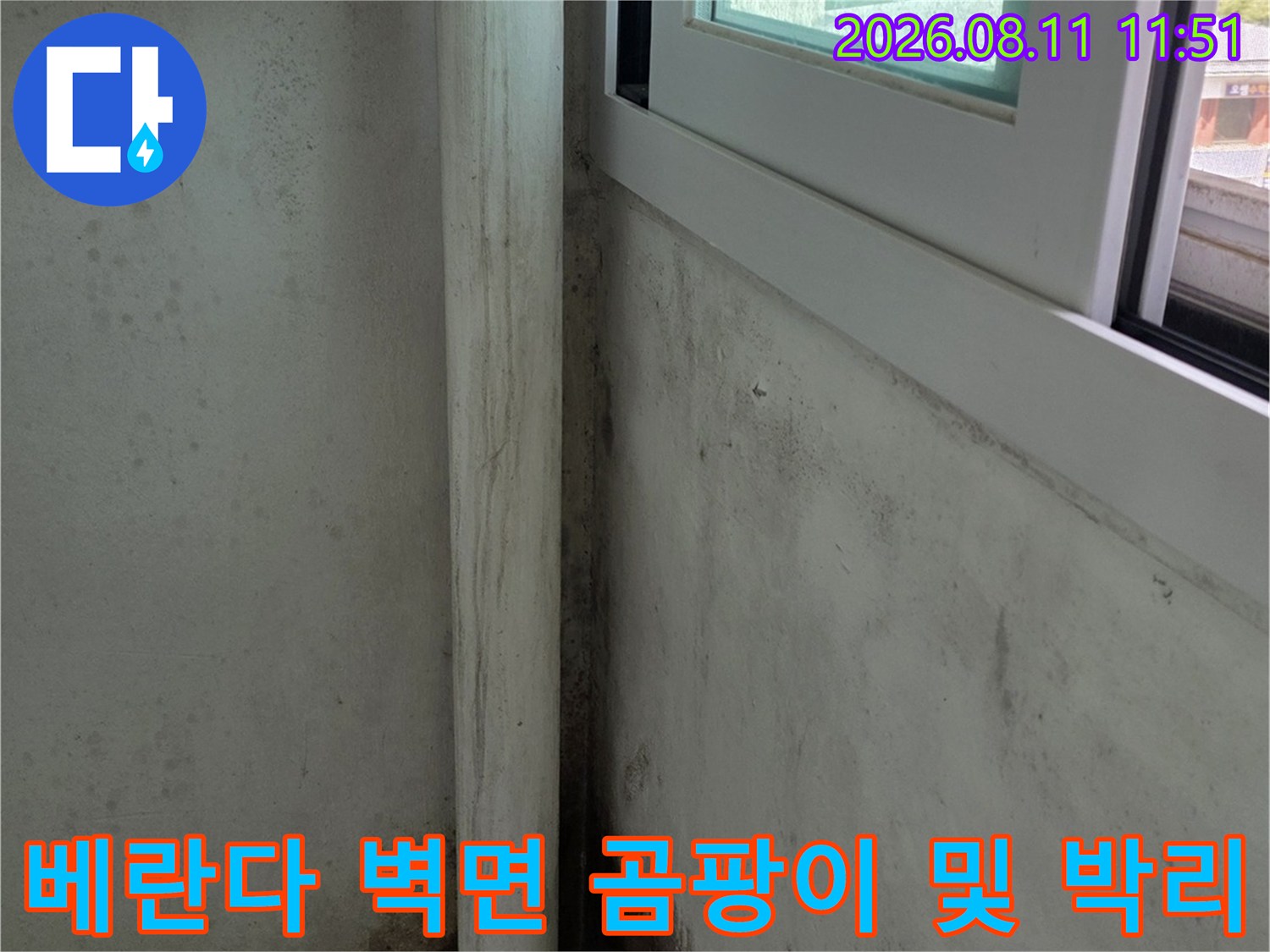 정자동 현장 베란다 천장 도장면이 벗겨지고 곰팡이가 발생한 모습