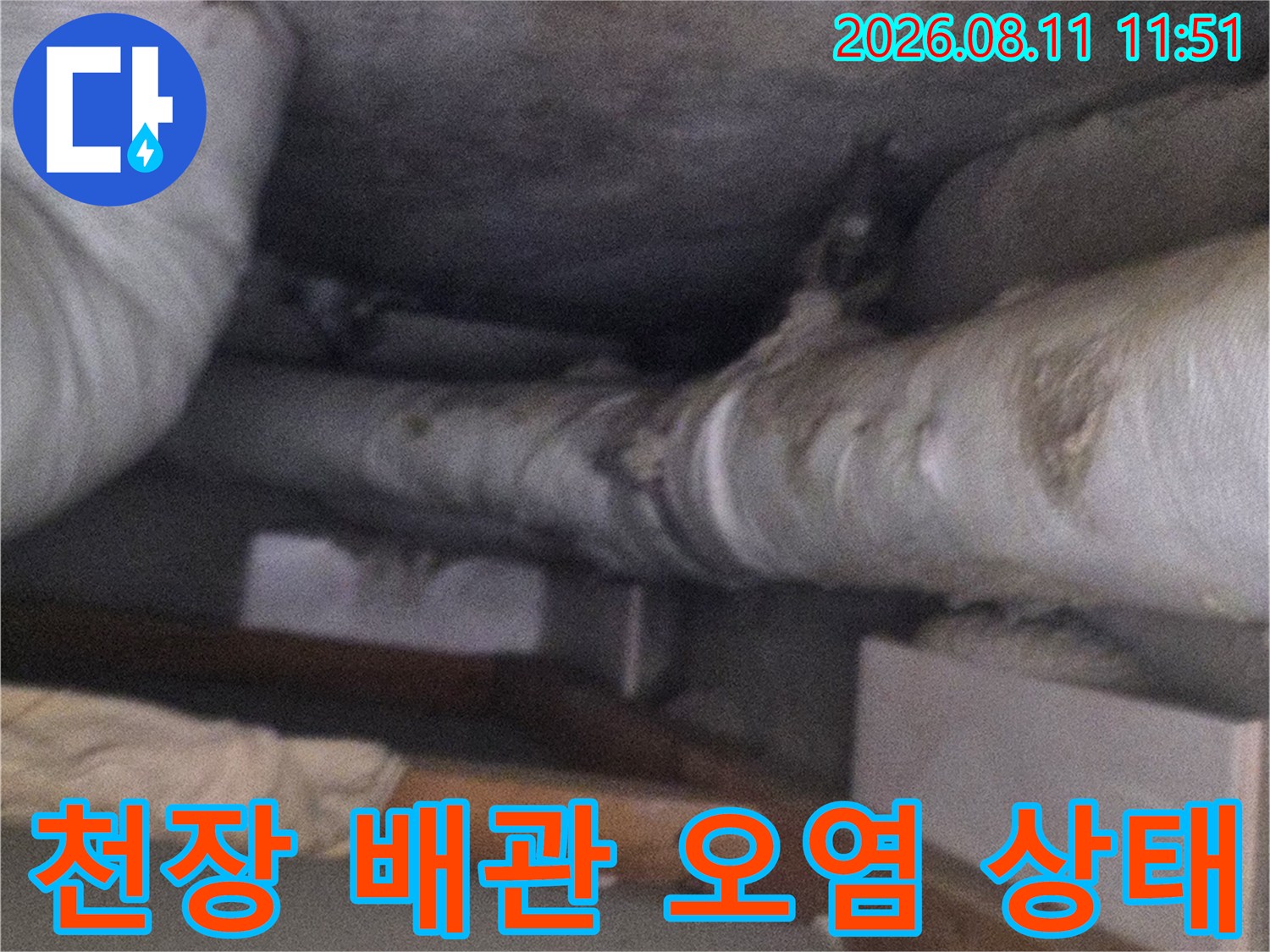 천장 구조물과 배관 사이의 곰팡이 및 습기 흔적 상세 촬영