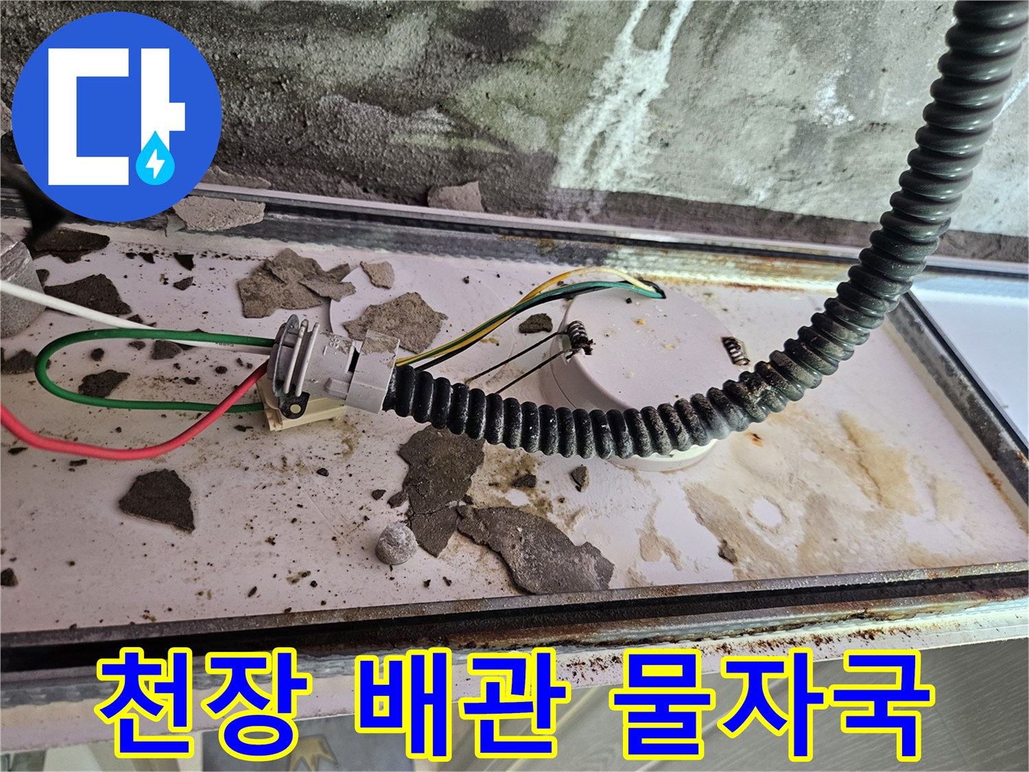 양주 옥정동-화장실 천장 내부의 배관 주변 오염 상태