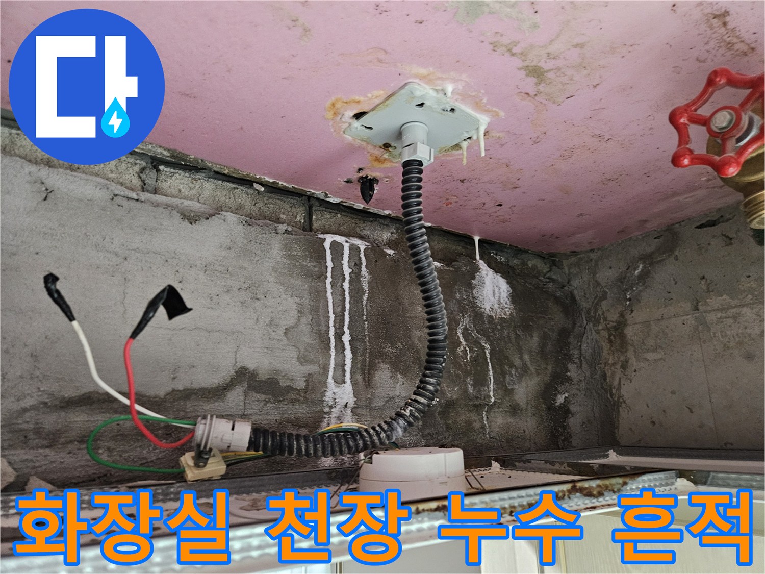 양주 옥정동 화장실-천장 배관 주변의 습기와 석회 흔적