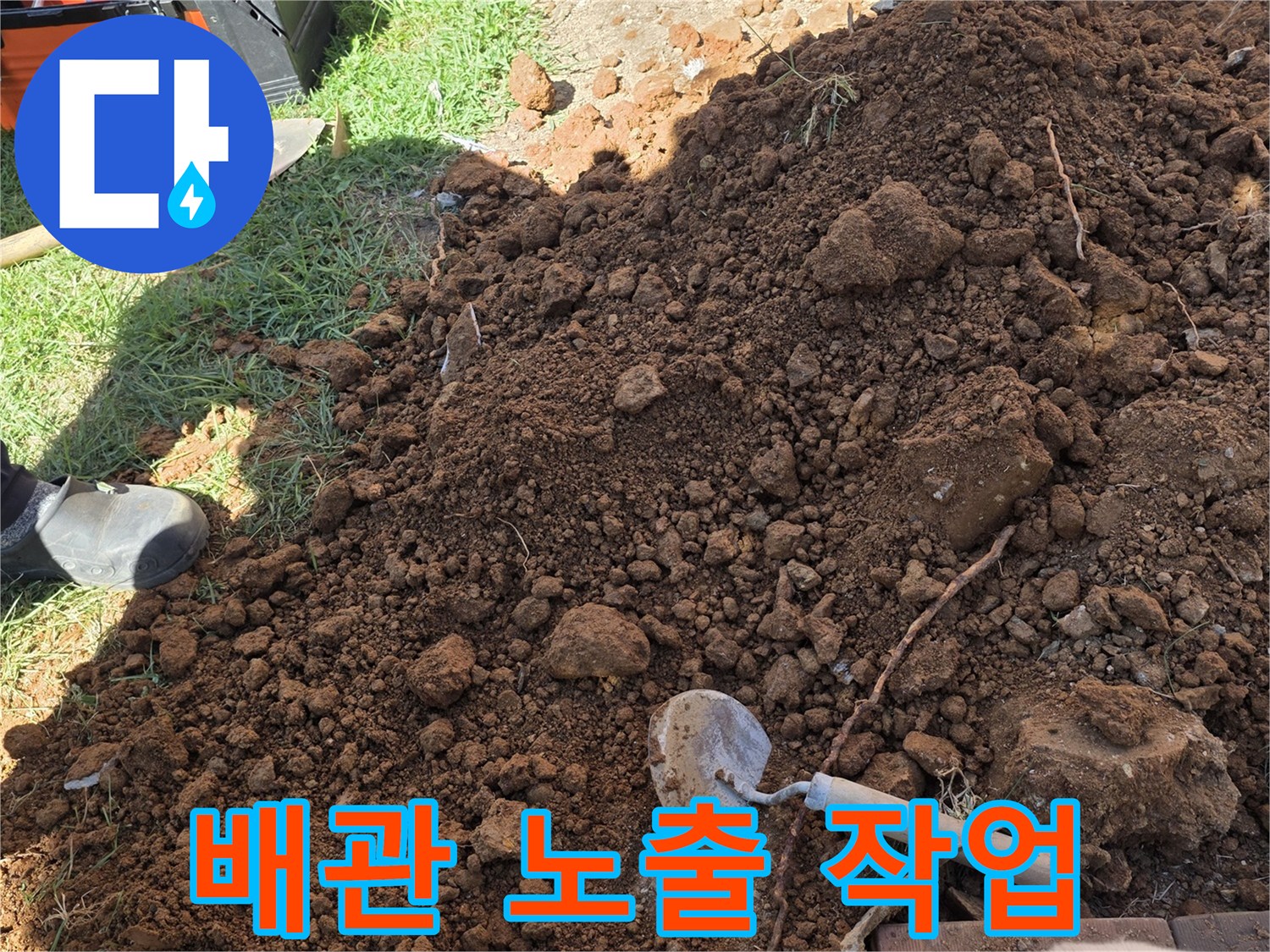 나무-주변-배관-확인을-위한-흙-파내기-작업