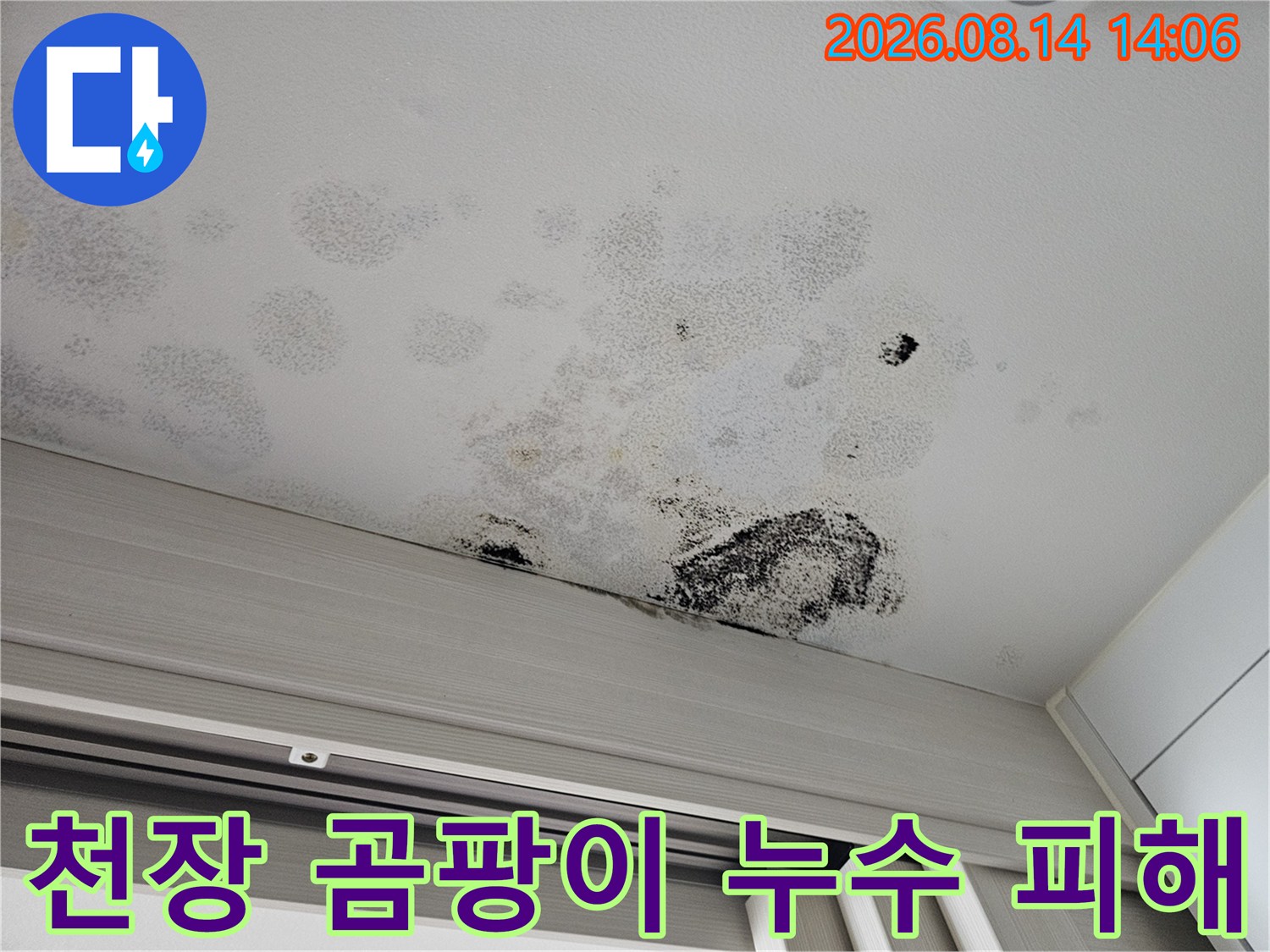 중문 천장 마감재에 나타난 검은 곰팡이와 습기 흔적