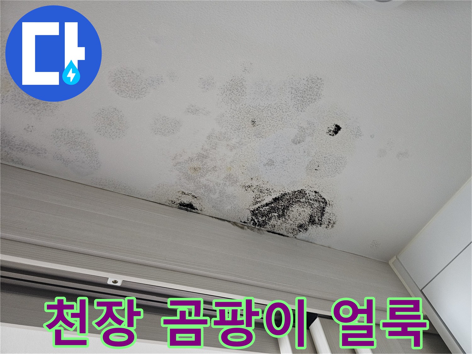 천장 마감재에 나타난 넓은 물자국과 검은색 곰팡이 오염