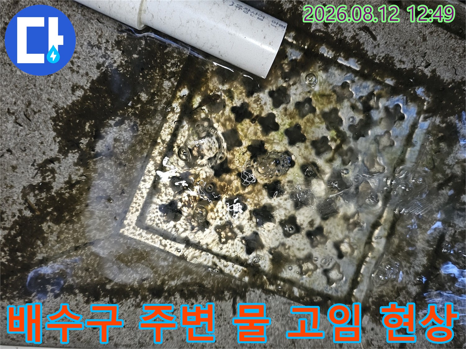 PVC 배관 아래 배수구 주변에 정체된 물과 오염물질