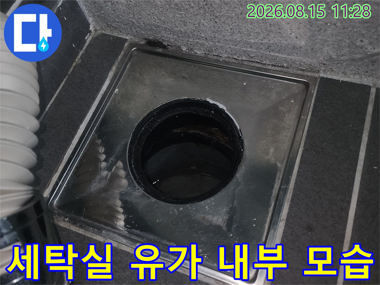 세탁실 바닥 하수구 유가 안쪽의 오염된 상태