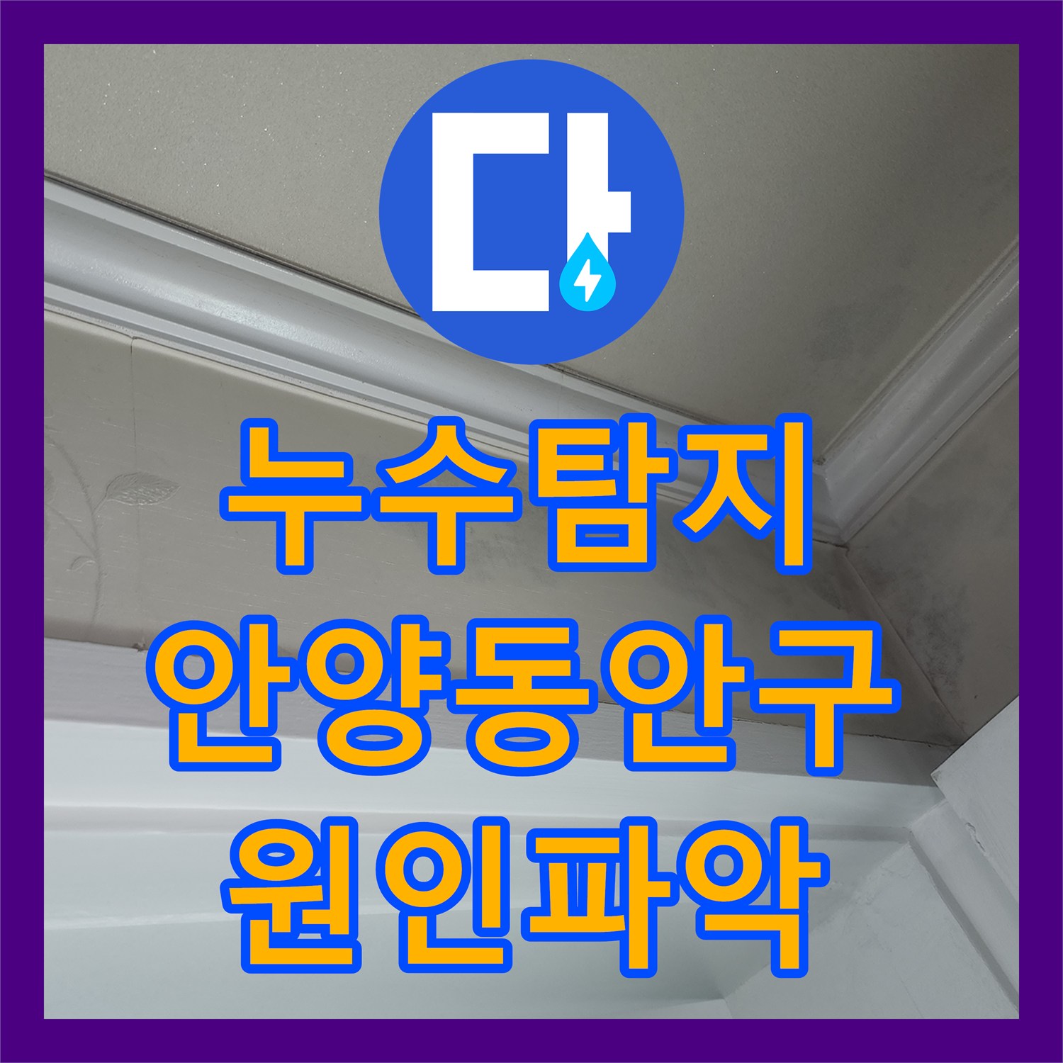 누수탐지 아랫집 천장 곰팡이와 화장실 물샘 원인을 찾아 보수한 경기 안양시 동안구 사례