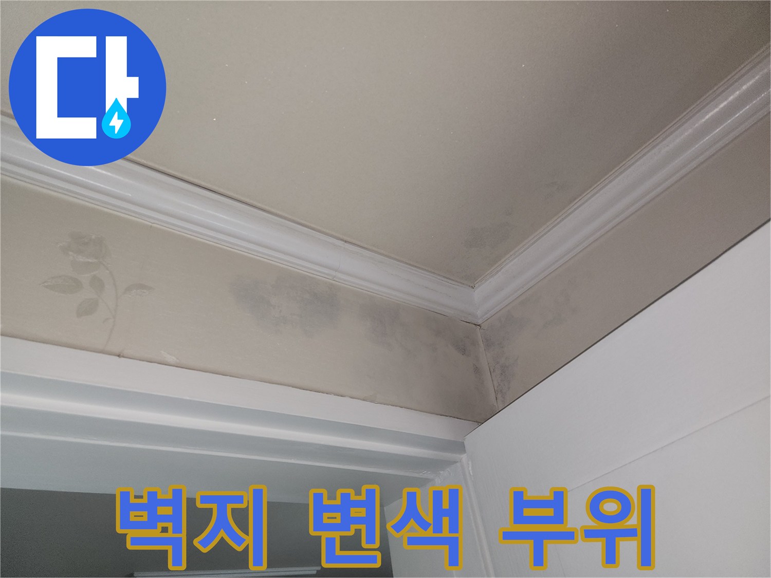 습기로 인해 어둡게 얼룩진 천장 벽지 가장자리