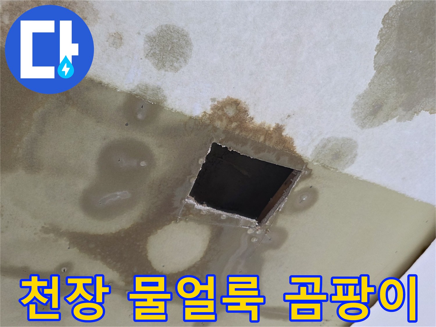 별내동 현장의 천장 물얼룩과 곰팡이 상태를 보여주는 사진입니다.