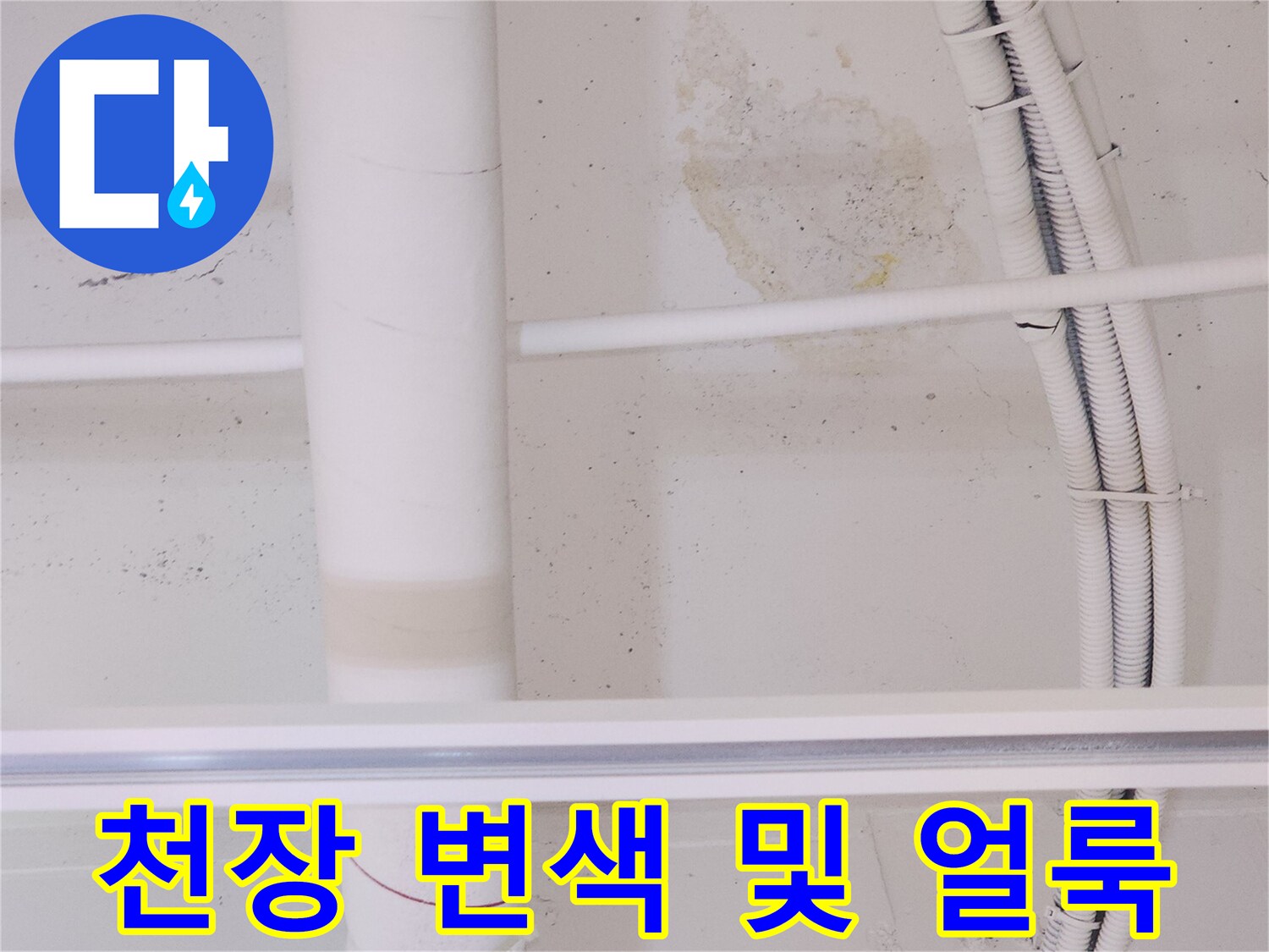 고양시 덕양구 식당의 천장 변색된 부분-누수 흔적 확인