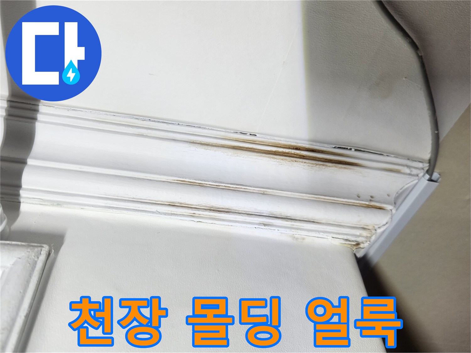 강동구 성내동-아랫집 천장 몰딩 부위의 누수 흔적