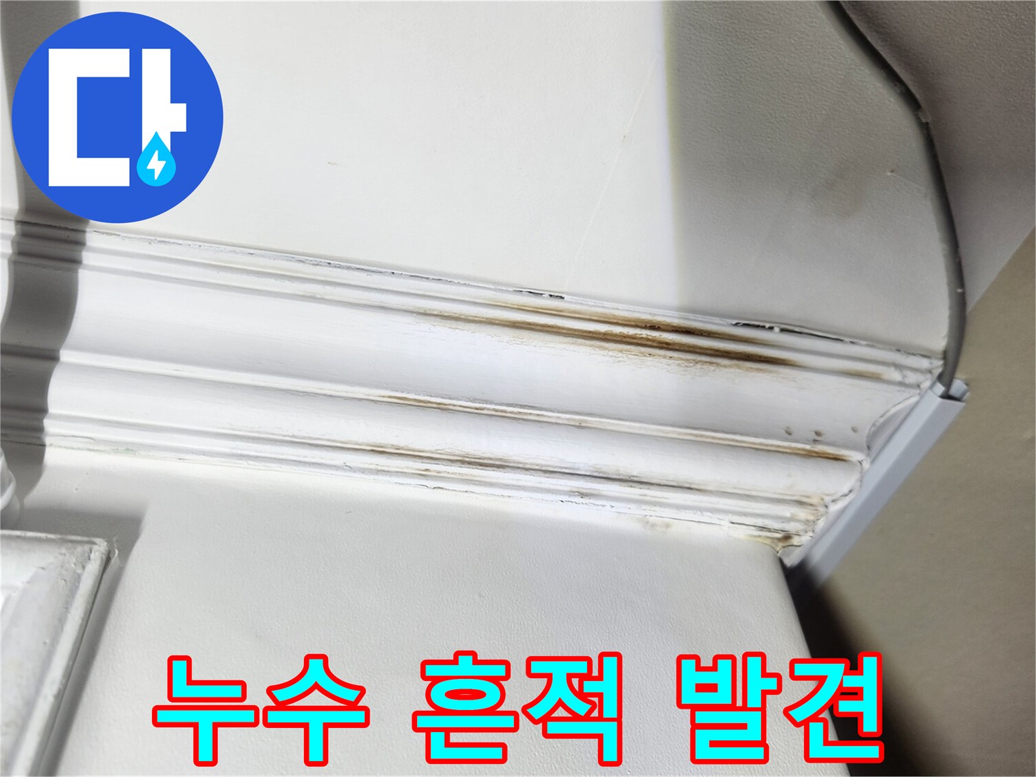 천장 몰딩 틈새의 갈색 누수 오염 부위