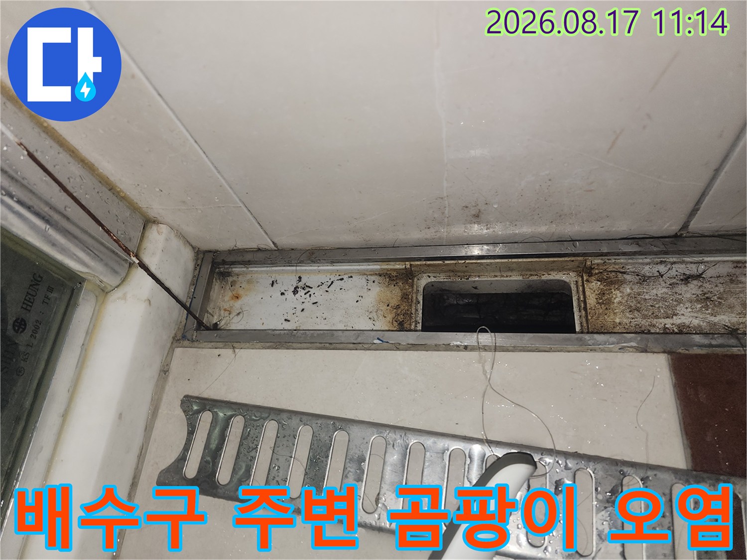 싱크대 하부장 벽면과 배관 부근에 발생한 곰팡이와 누수 흔적 사진