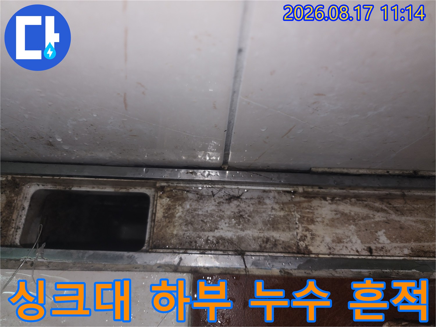 영등포구 여의도동-싱크대 하부 배관 주변의 습기와 오염 상태