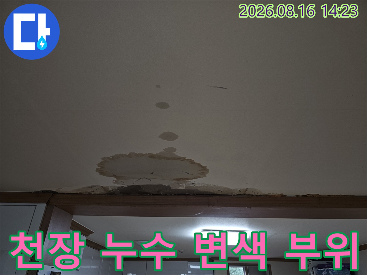 천장 마감재에 발생한 커다란 물 얼룩과 작은 점 형태의 흔적