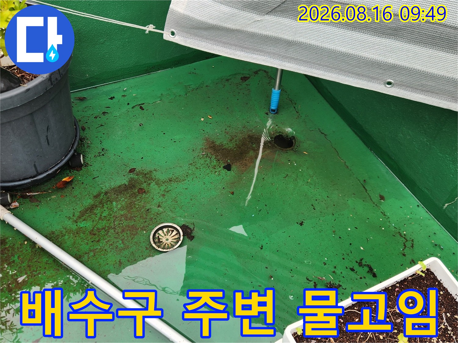 이물질과 함께 고여 있는 옥상 배수구 입구