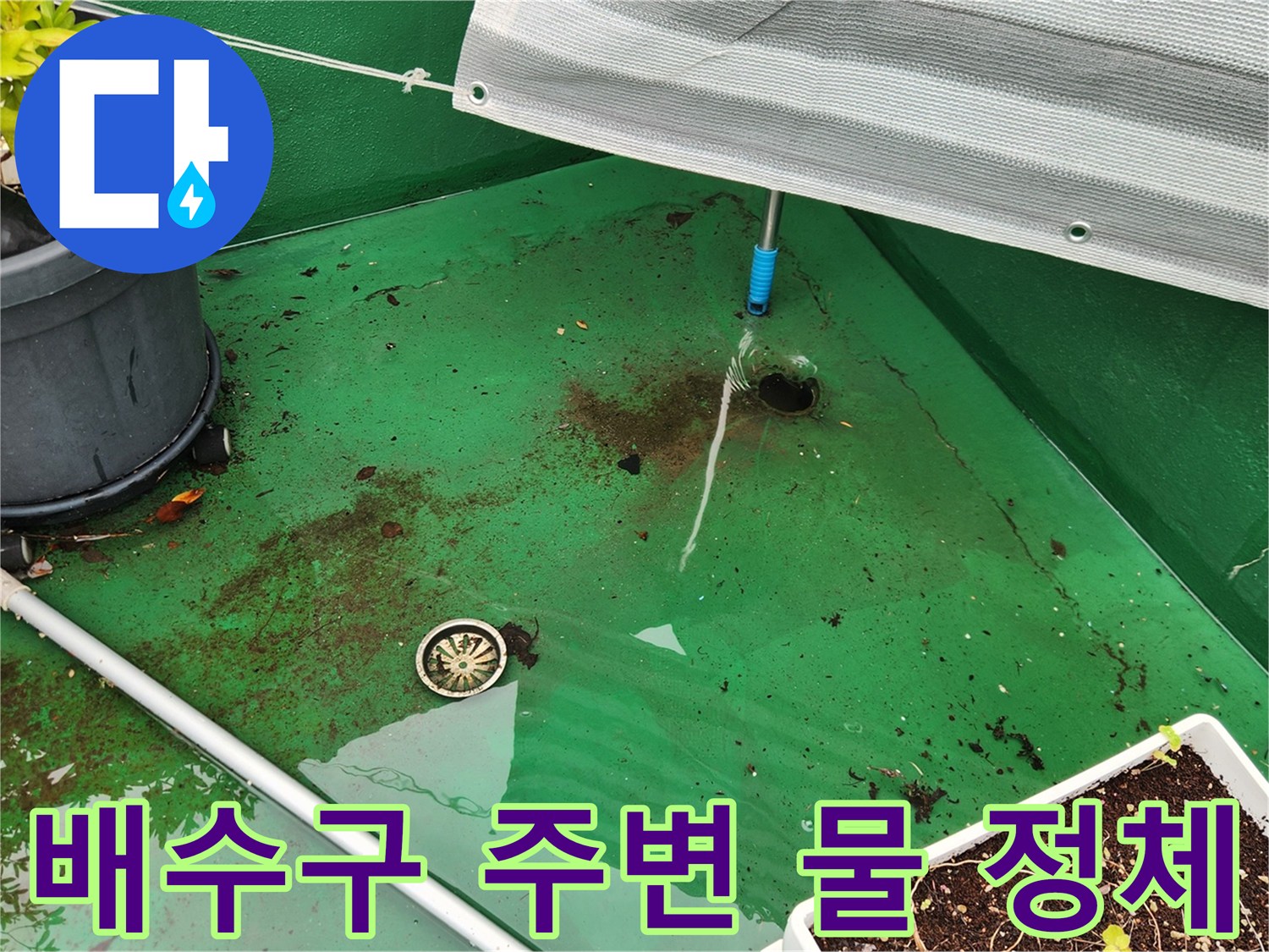 초록색 바닥 방수층에 고인 빗물과 배수 시설