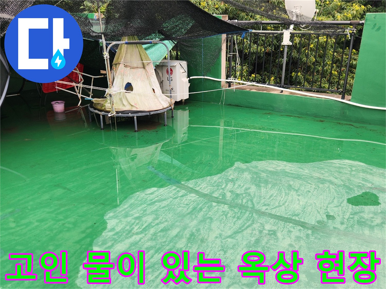 초록색 방수층 위로 넓게 퍼진 빗물 상태