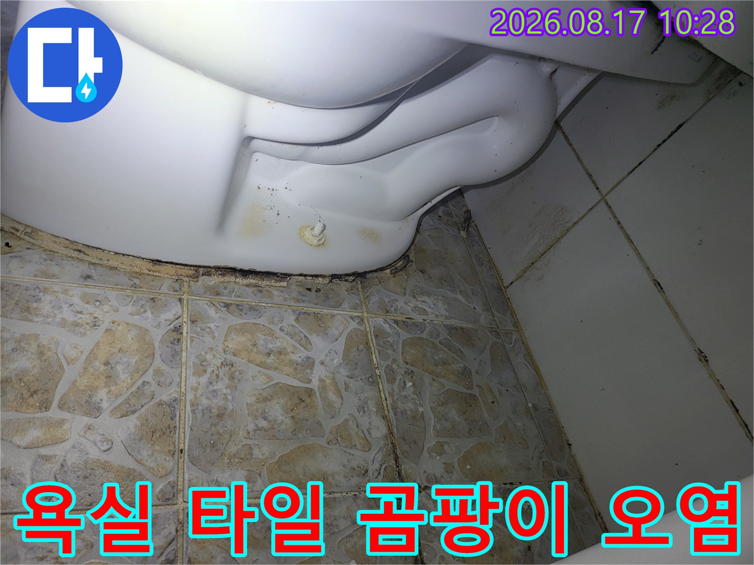 변기 하부 타일 사이의-검은색 곰팡이와 변색된 흔적