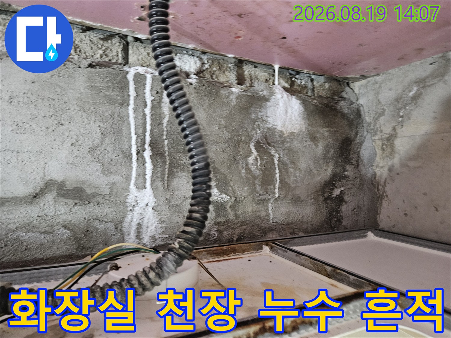 양주 옥정동 아파트-화장실 천장 벽면에 나타난 하얀색 누수 자국과 습기 상태