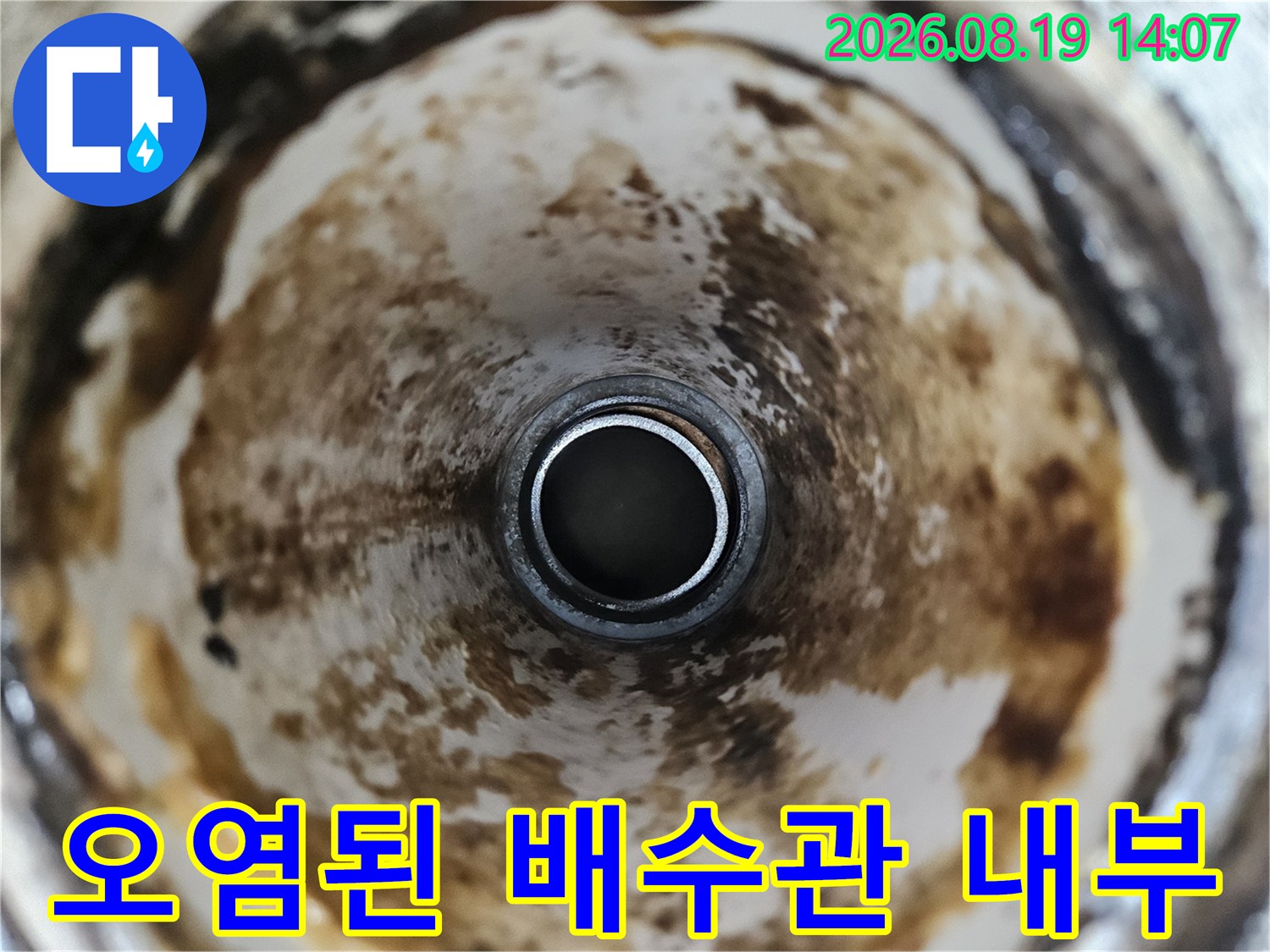 양주 옥정동 화장실-배수구 내부의 오염된 상태를 보여주는 사진입니다