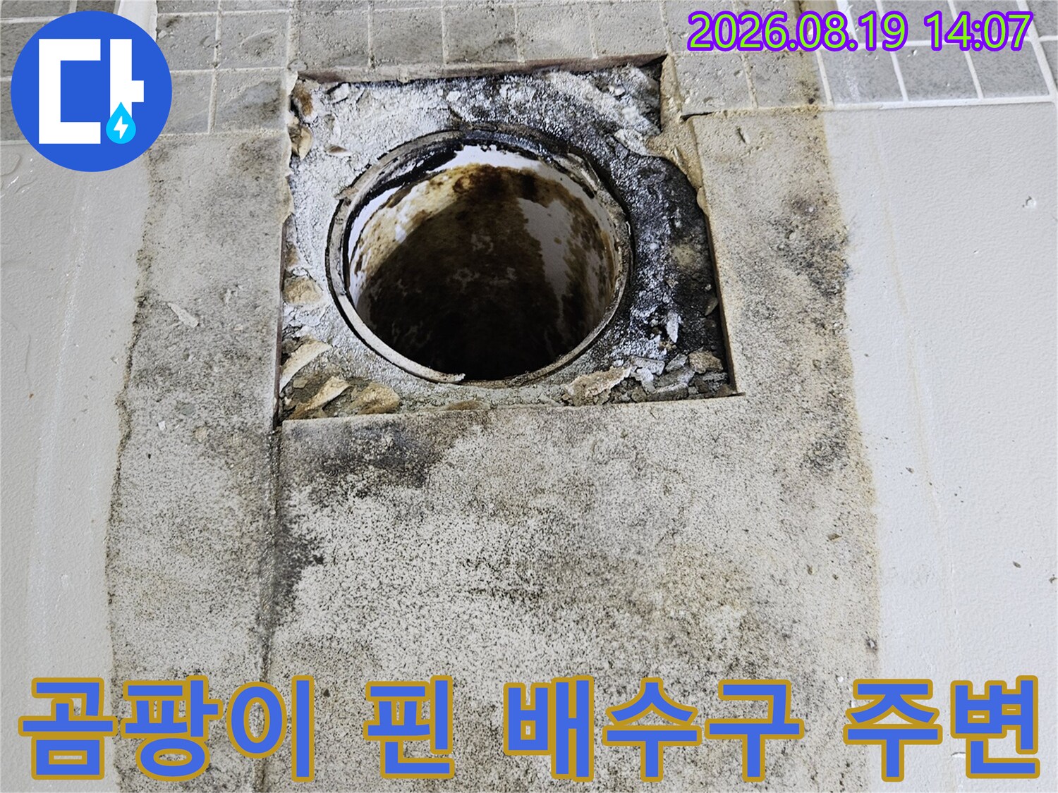 욕실 배수구 근처-방수층 손상과 배관 노출 상태