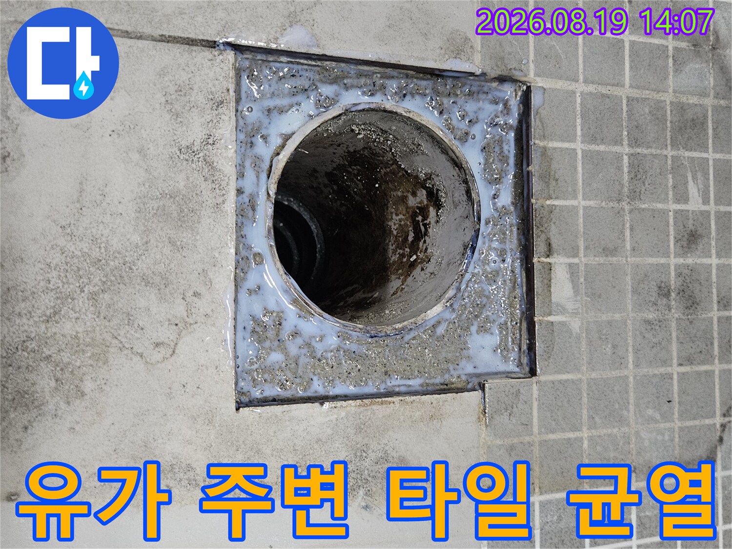 화장실 바닥-배수구 주변의 젖은 타일과 노후된 배관 부위