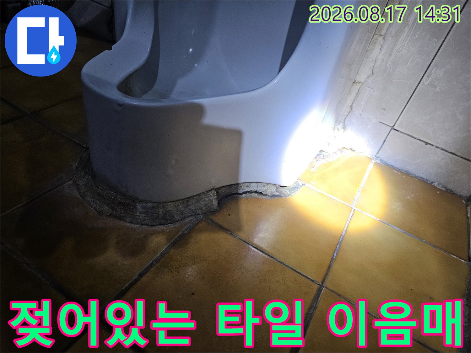 지하 화장실-타일 줄눈 부위의 습윤 상태 확인