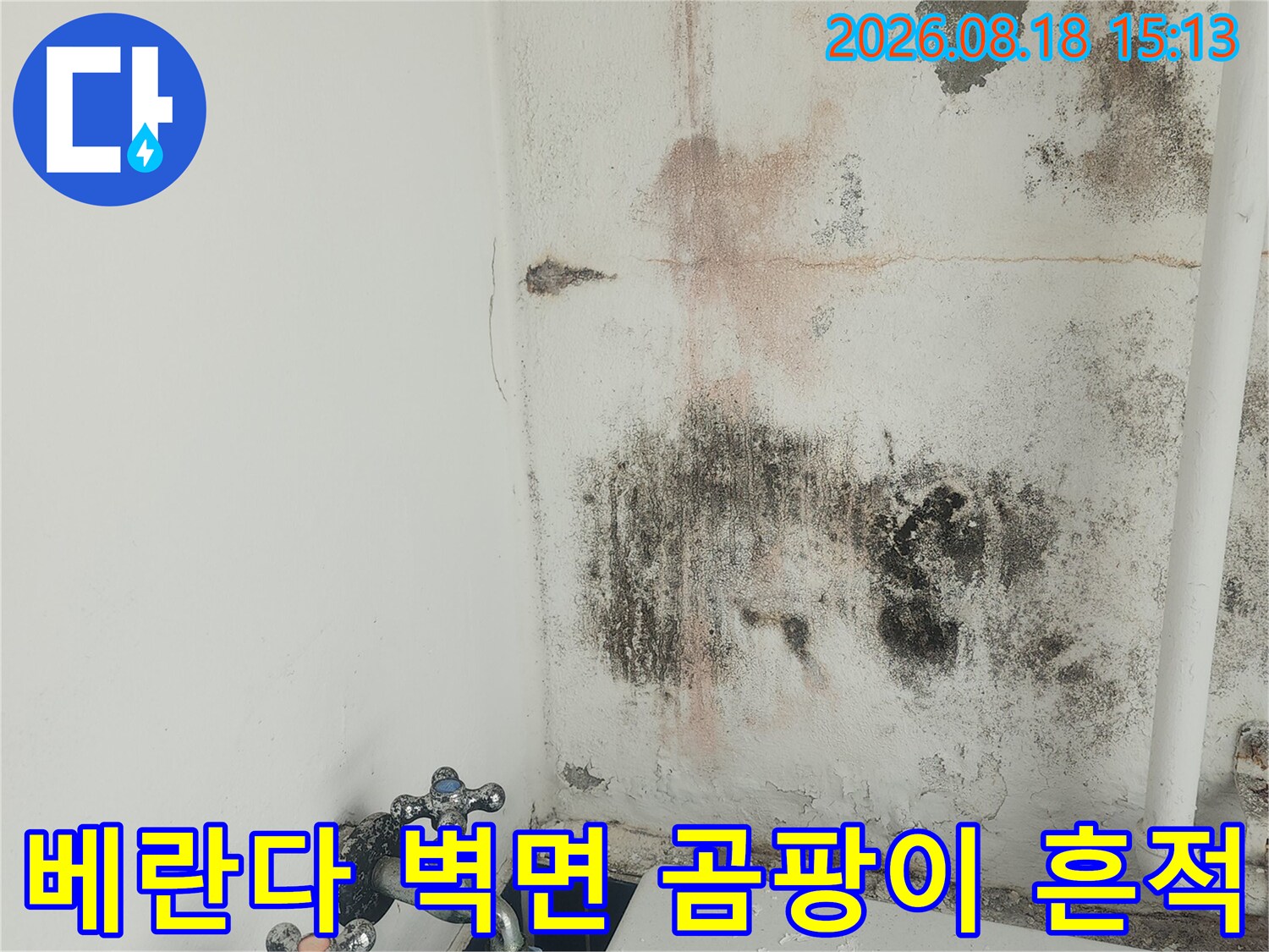 노원구 베란다 벽면에 발생한 검은색 곰팡이와 습기 흔적