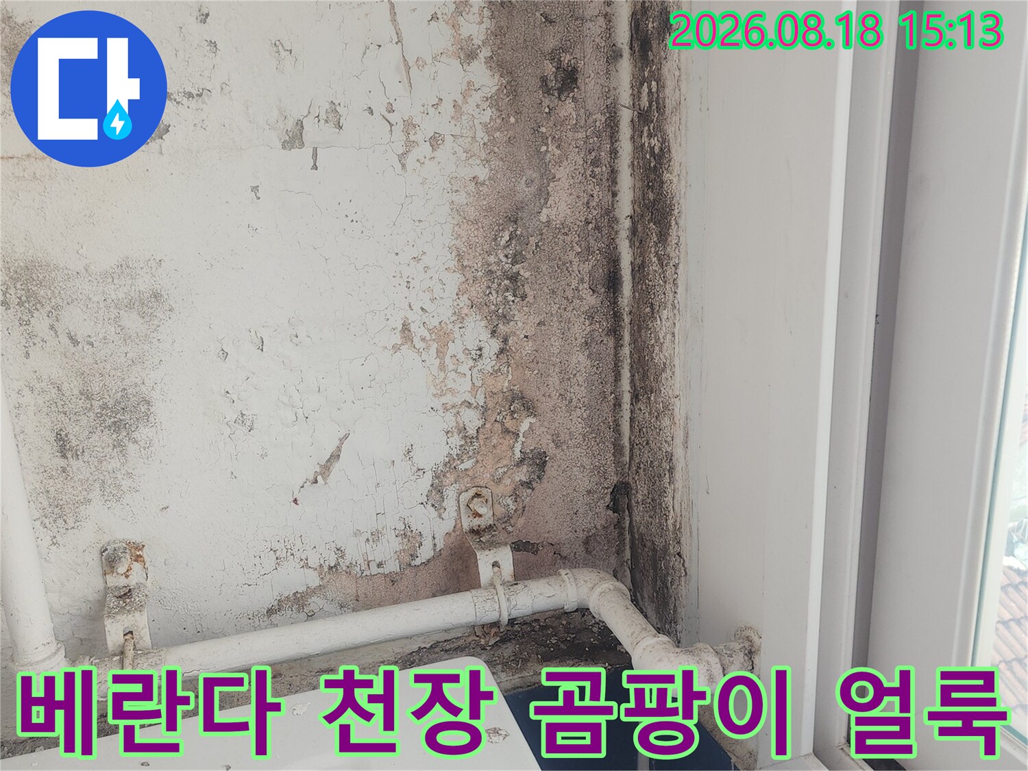 노원구 월계동 베란다 천장 벽면의 검은 곰팡이와 물자국 현상