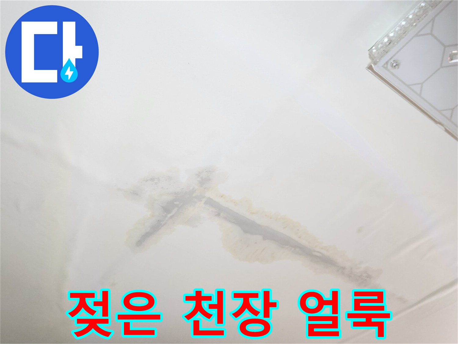 천장 마감재에 나타난 물샘 흔적과 습기 침투 부위