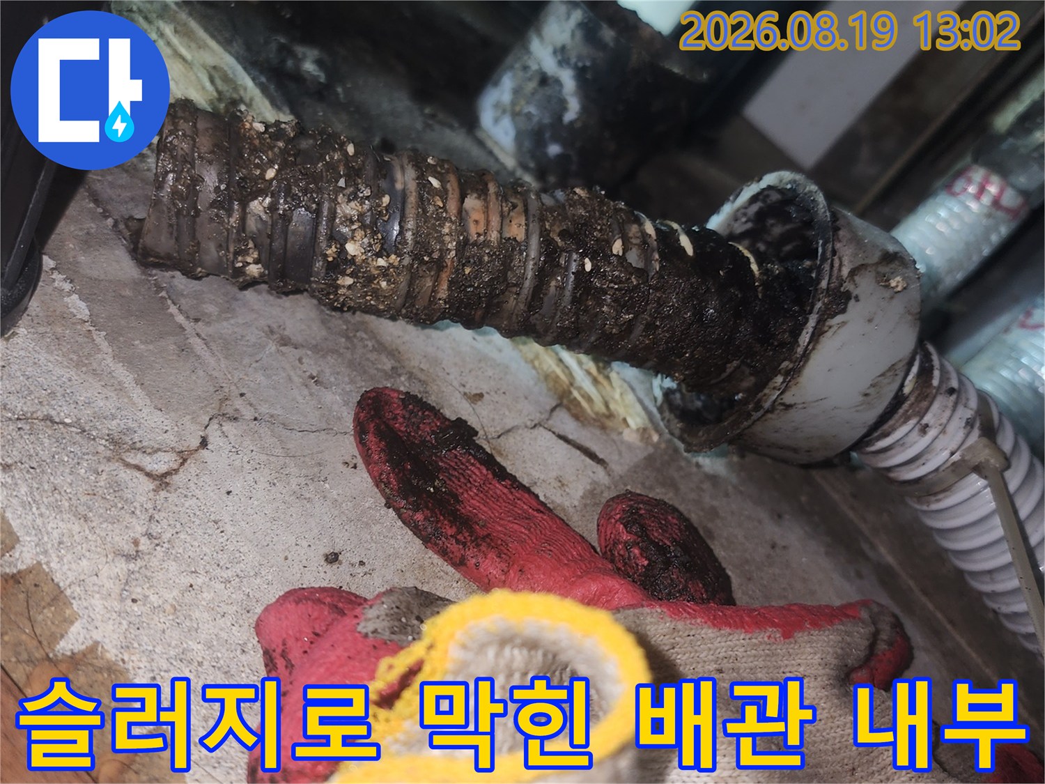 이물질과 슬러지가 꽉 차 있는 싱크대 하부 배관