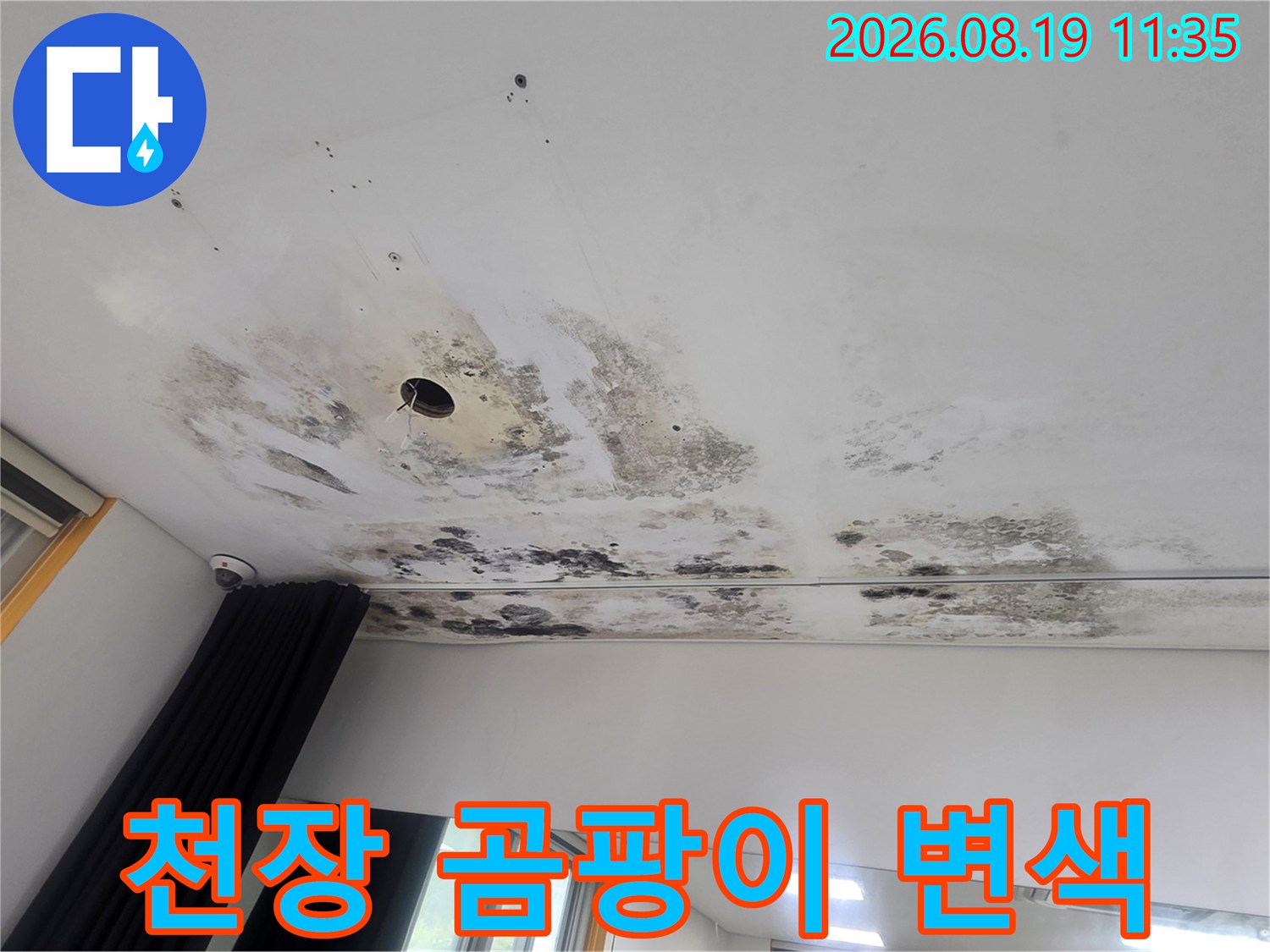 천장 조명 근처의 곰팡이와 물에 의한 마감재 오염
