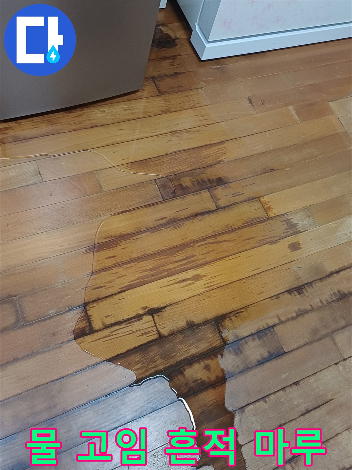 습기로-오염된-주방-바닥재-확대-사진