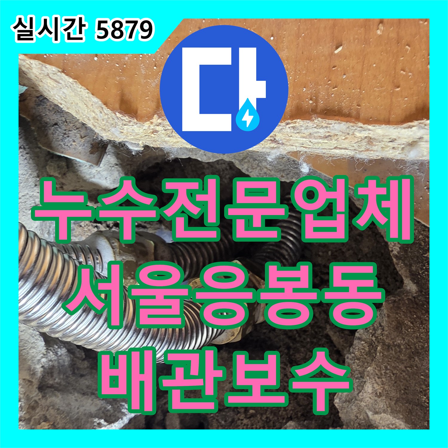 누수전문업체 외벽 누수로 오해했던 거실 천장 곰팡이의 실체는 싱크대 배관 결함 서울 성동구 응봉동