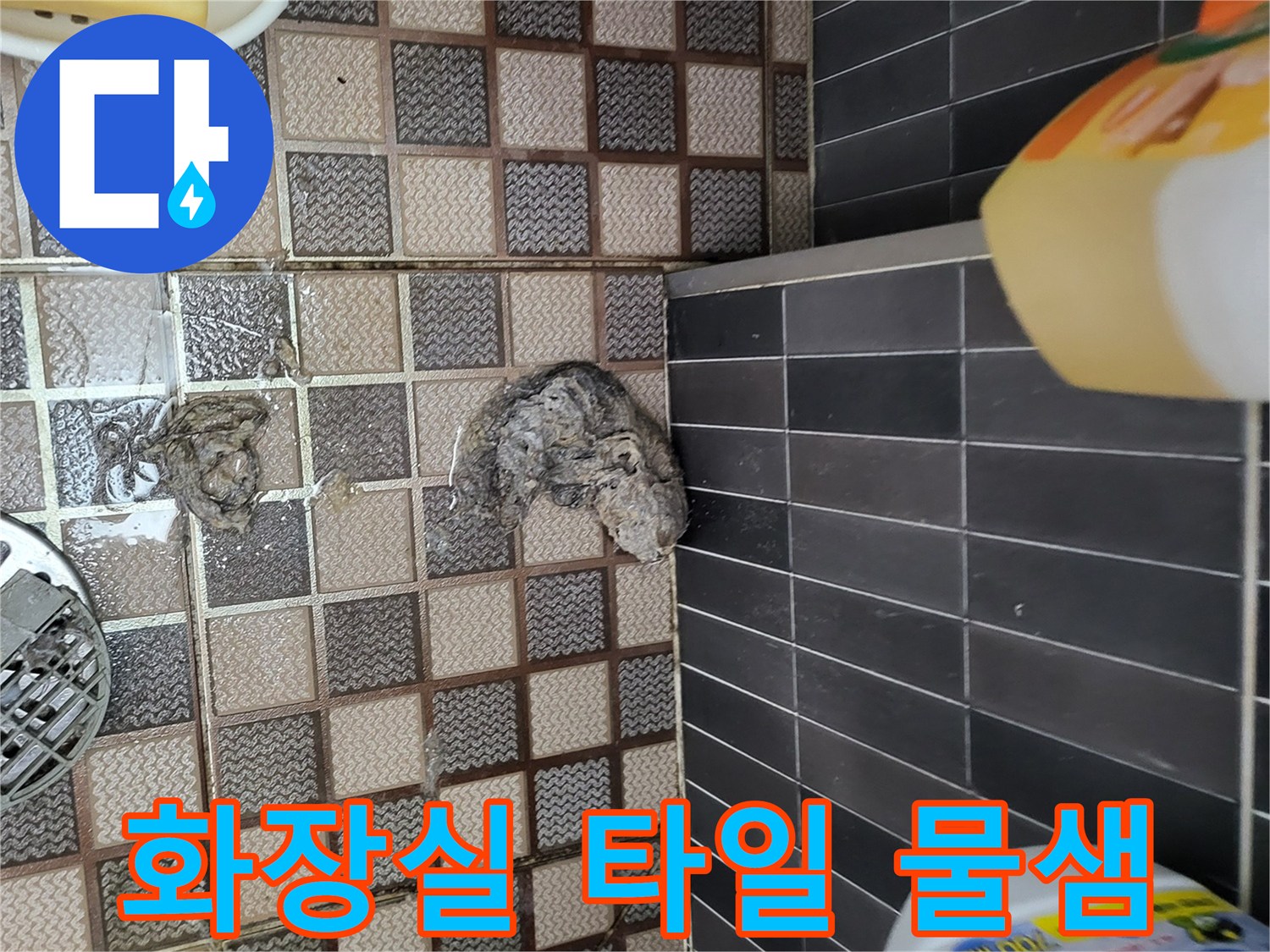 안양동-화장실-타일-사이-습기-확인-현장